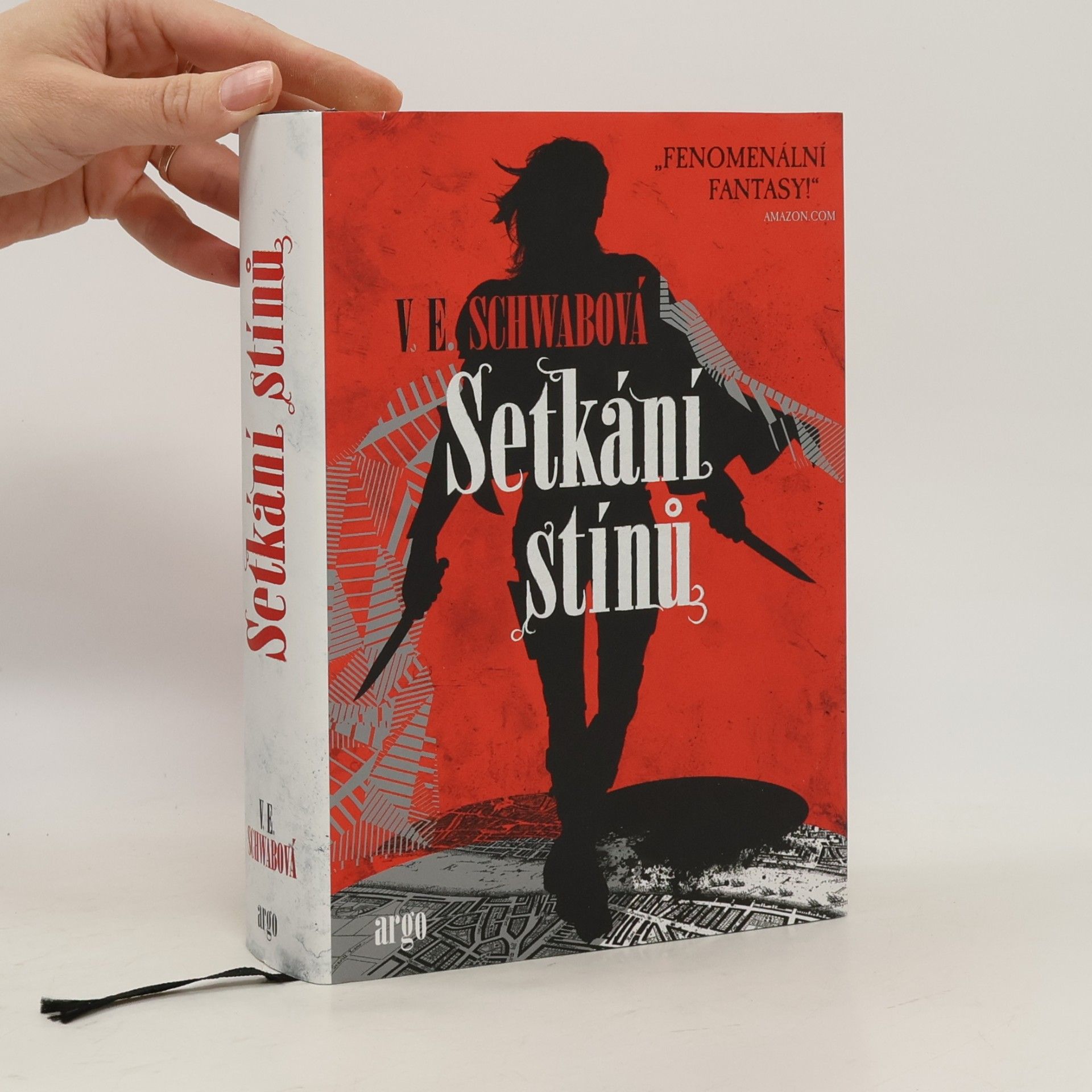 V. E. Schwab Setkání stínů