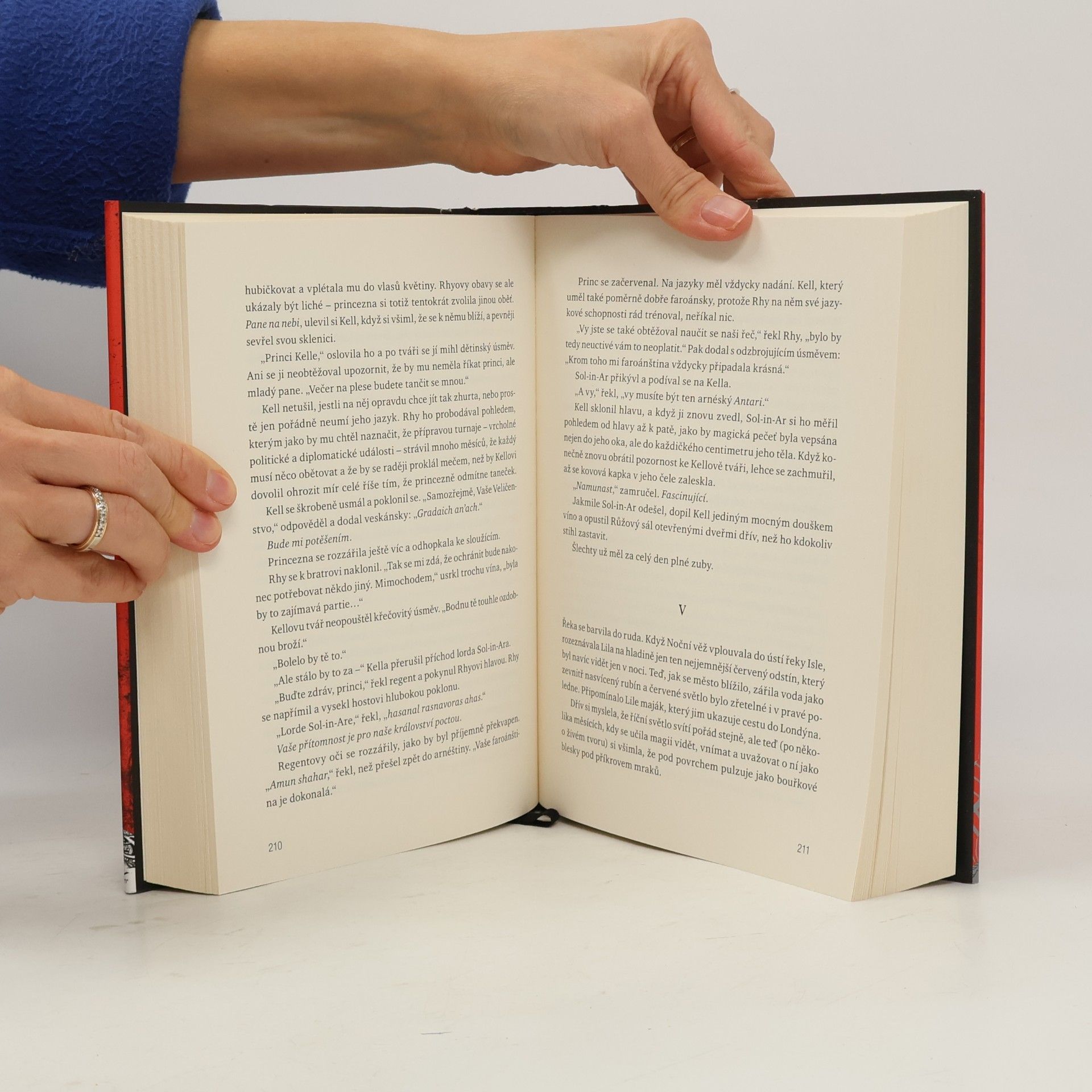 V. E. Schwab Setkání stínů