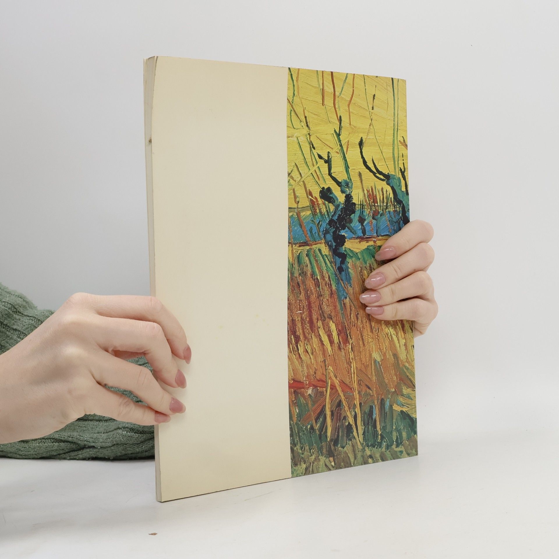 Various authors Vincent van Gogh
