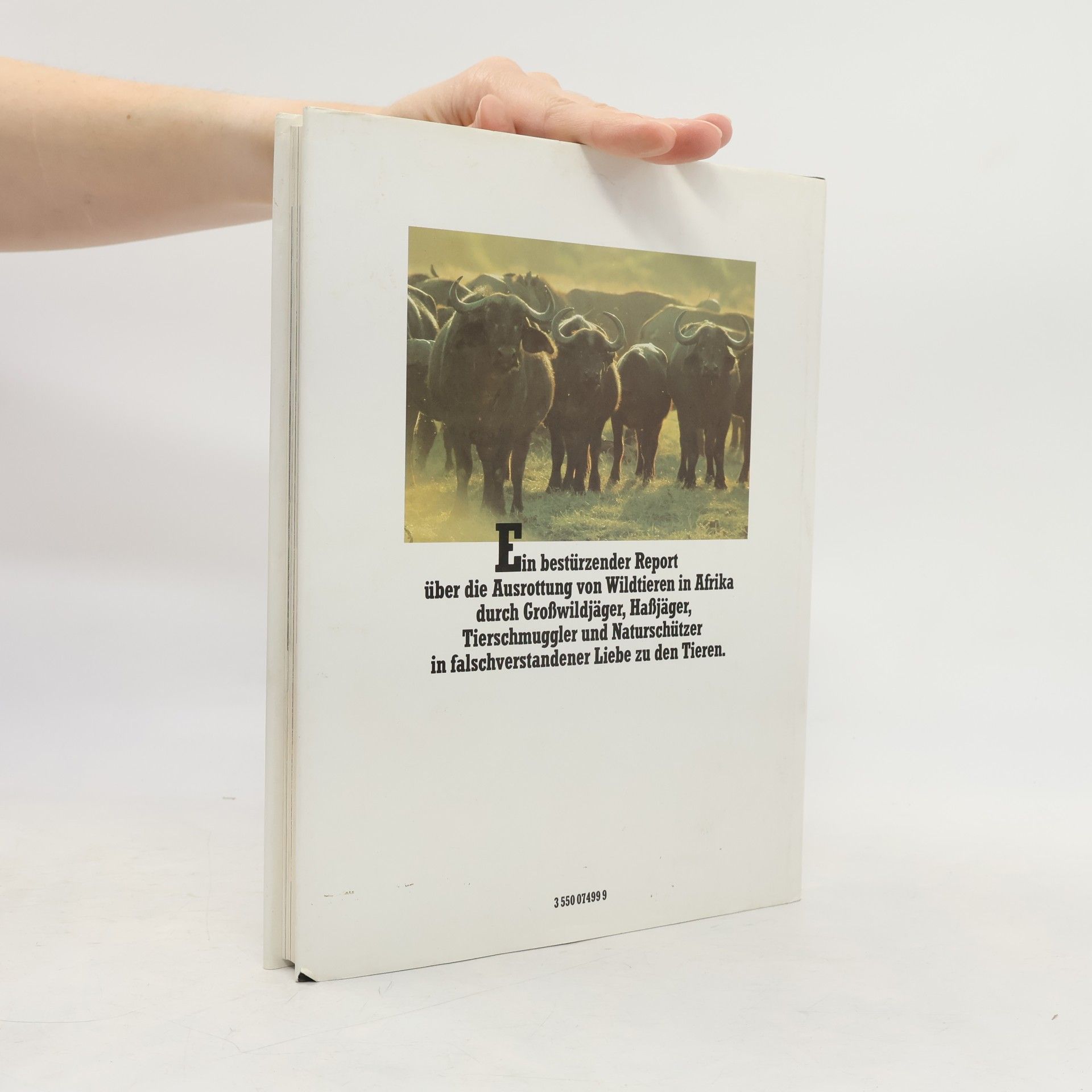 Peter Ehlebracht Das Ende der Wildnis