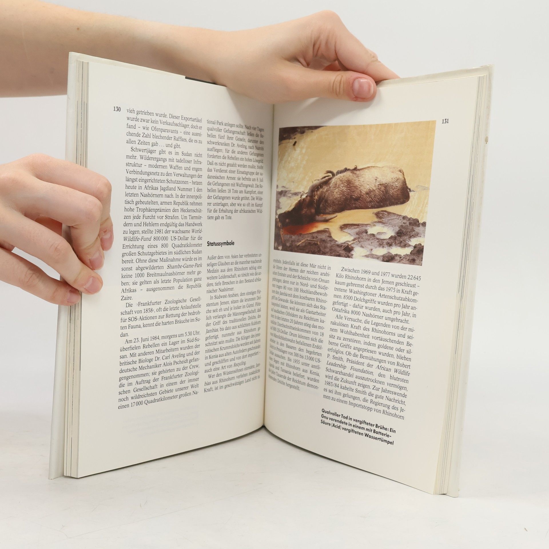 Peter Ehlebracht Das Ende der Wildnis
