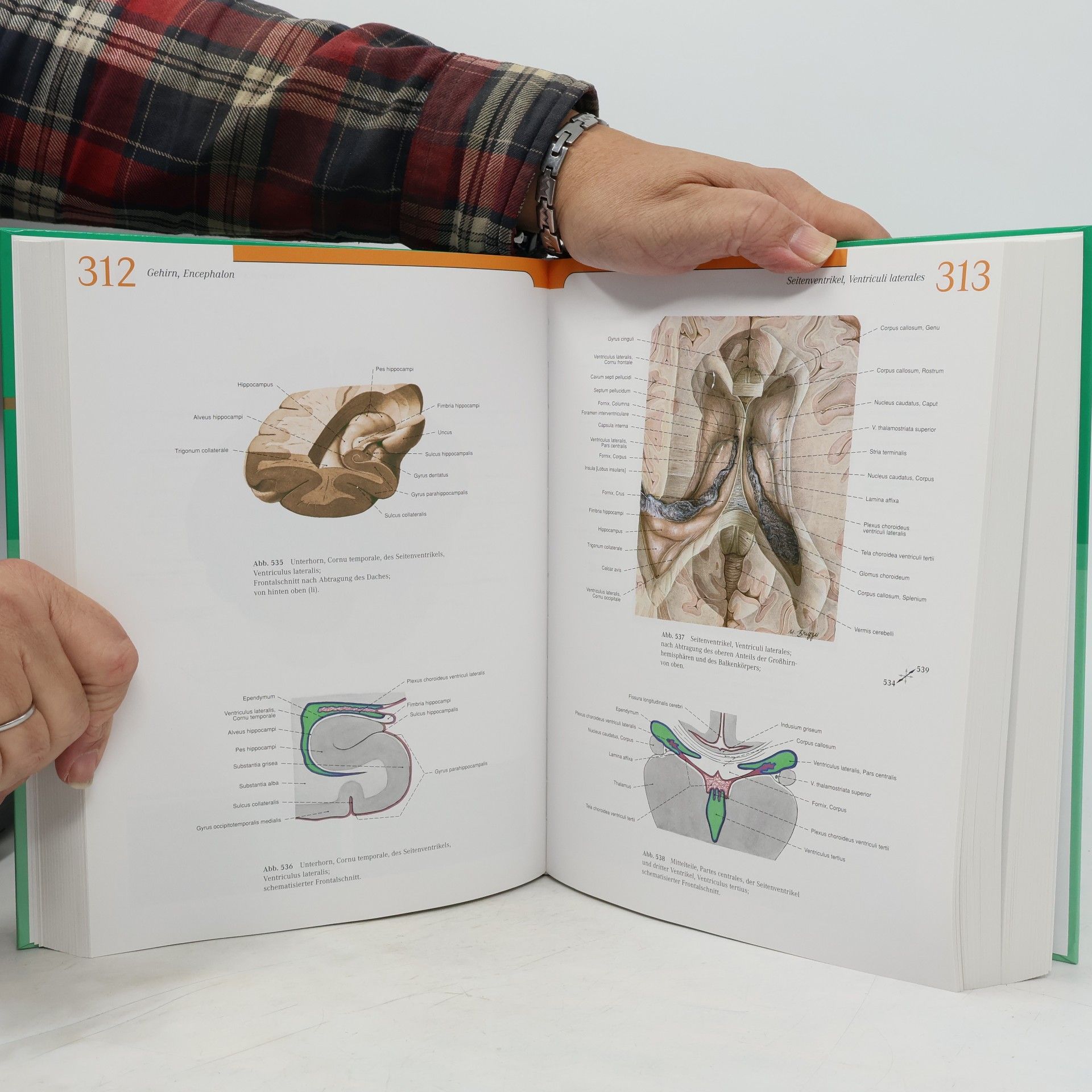 Johannes Sobotta Sobotta. Atlas der Anatomie des Menschen 1+2