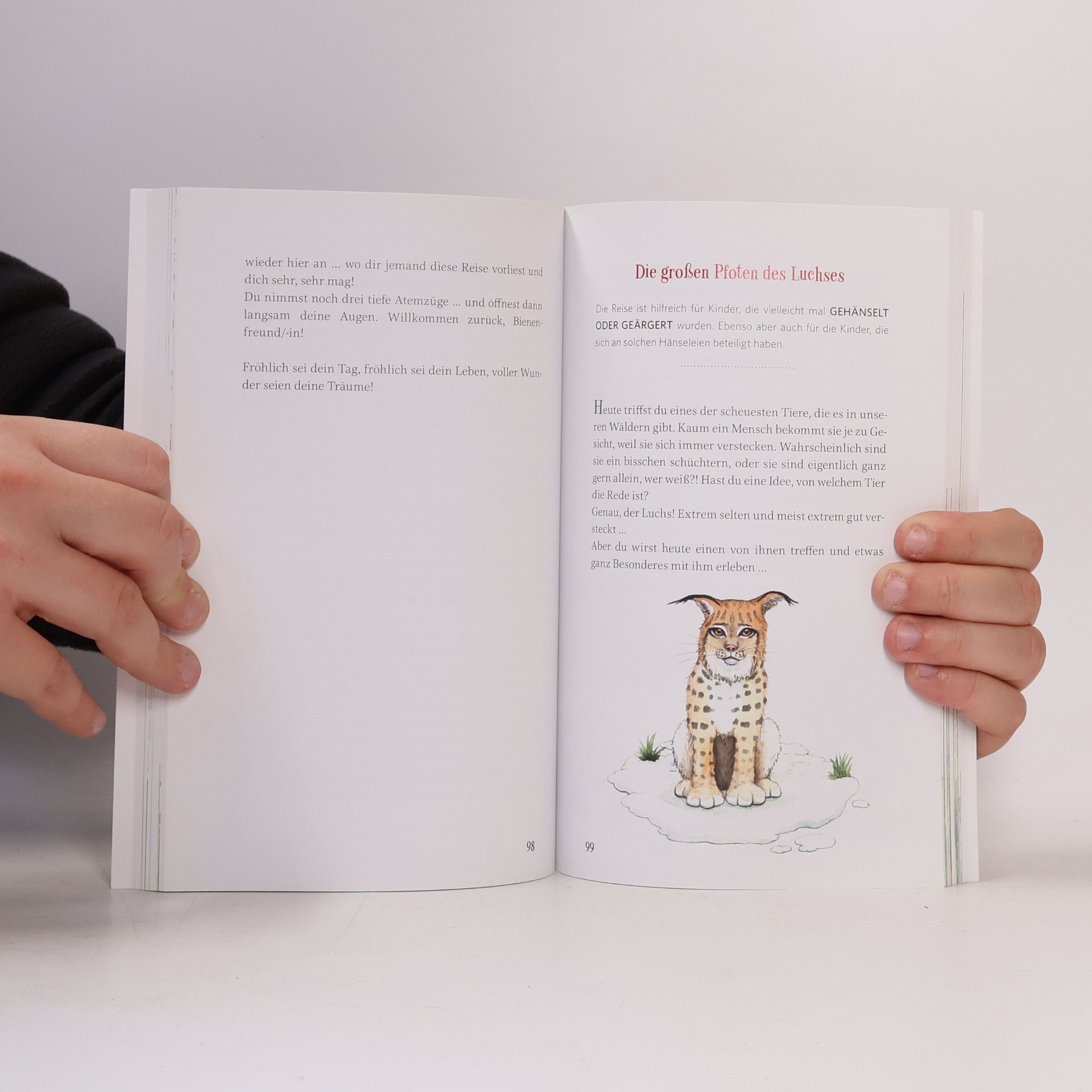 Dirk Grosser Bärenstark & Falkenfrei. Neue Fantasiereisen und Meditationen für Kinder