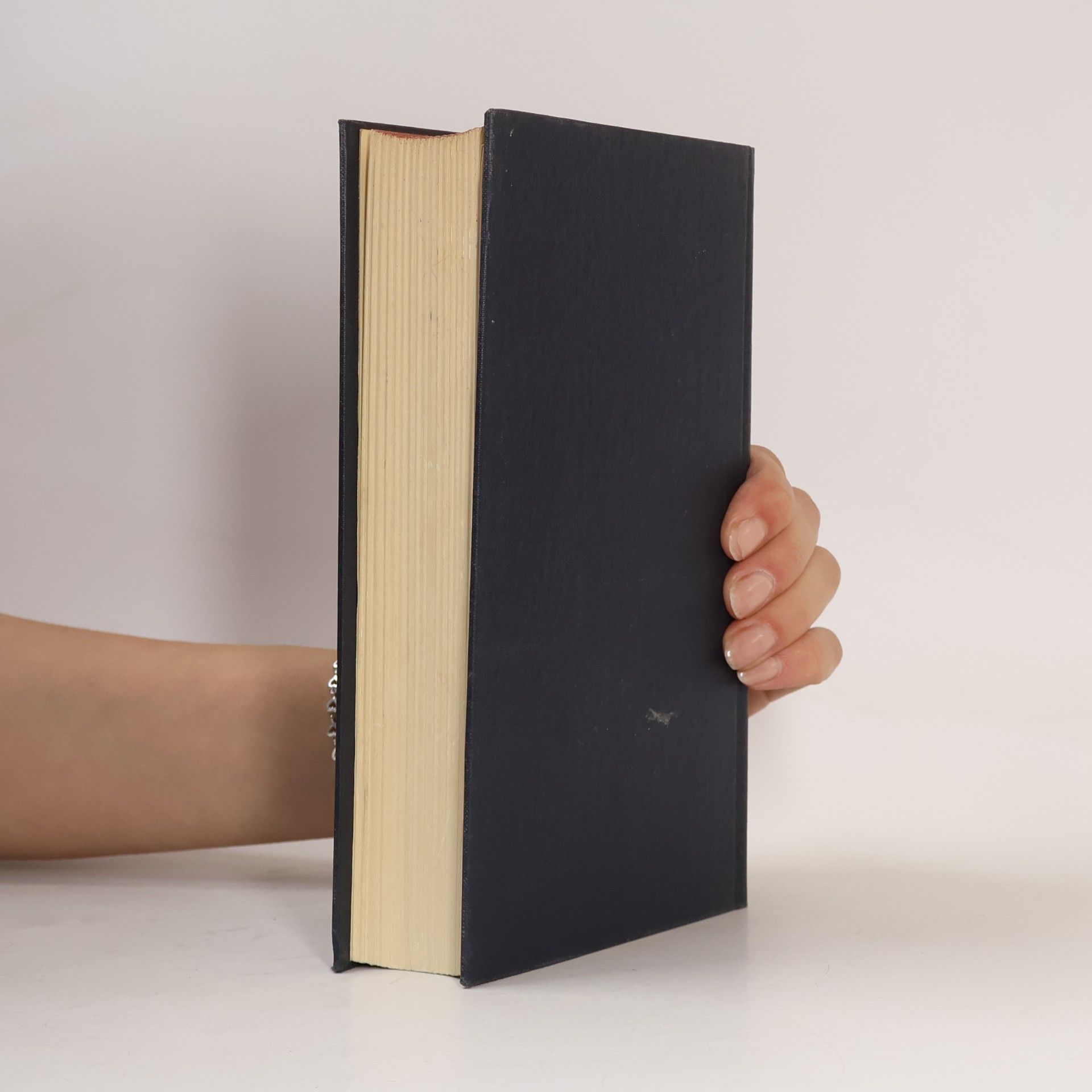 Arnold Hauser Sozialgeschichte der Kunst und Literatur I
