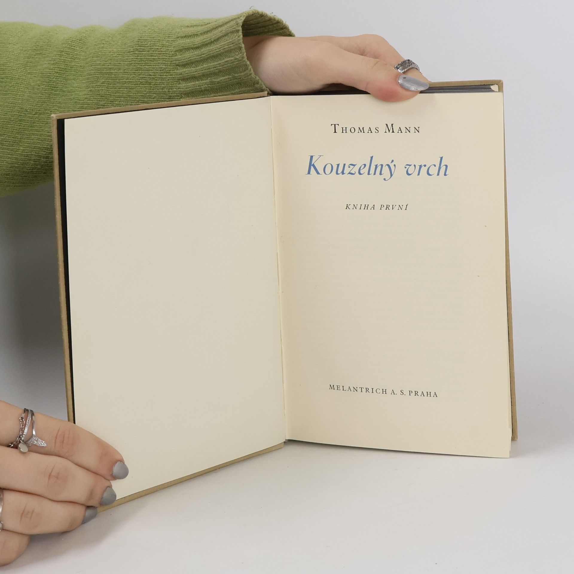 Thomas Mann Kouzelný vrch. Kniha první