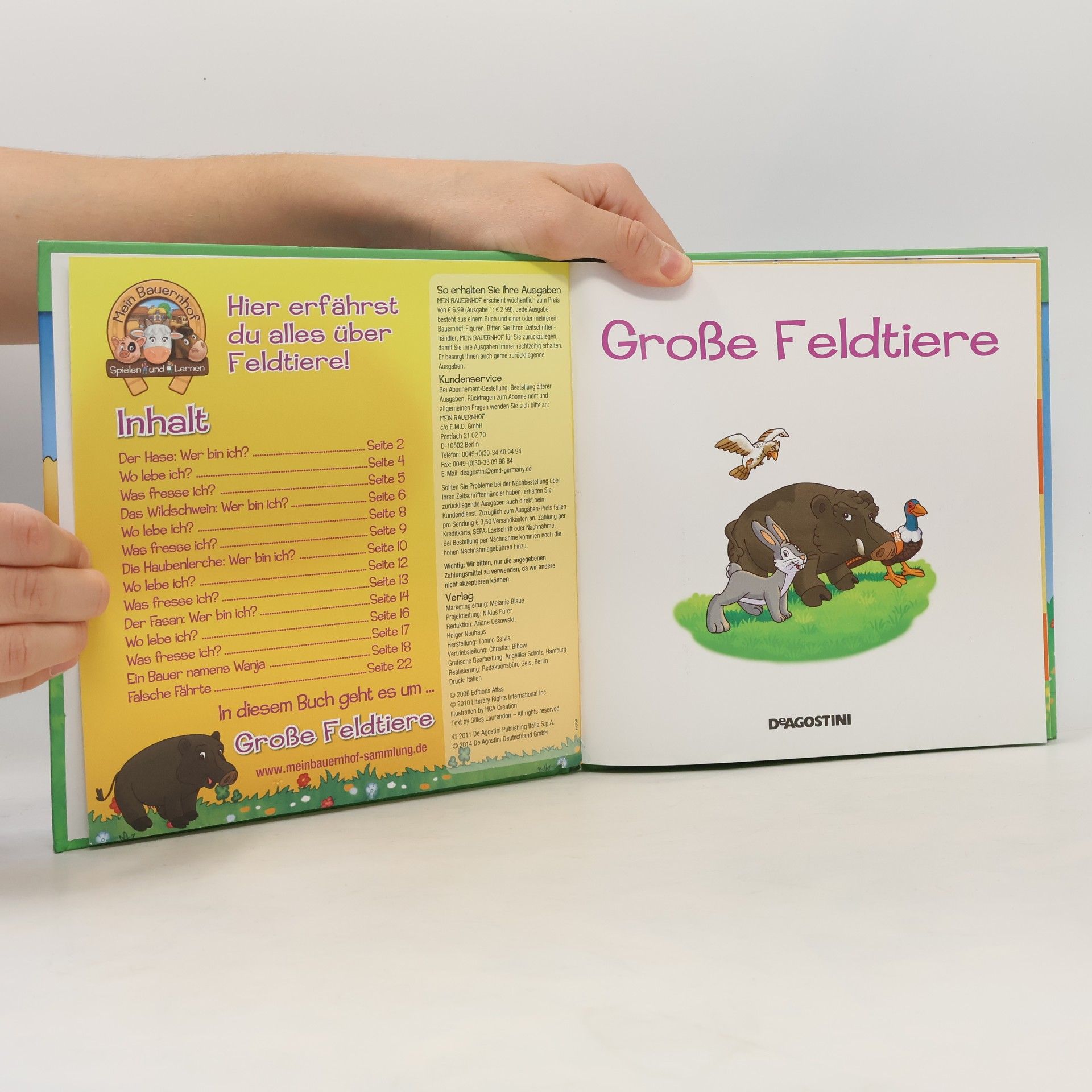 Gilles Laurendon Große Feldtiere