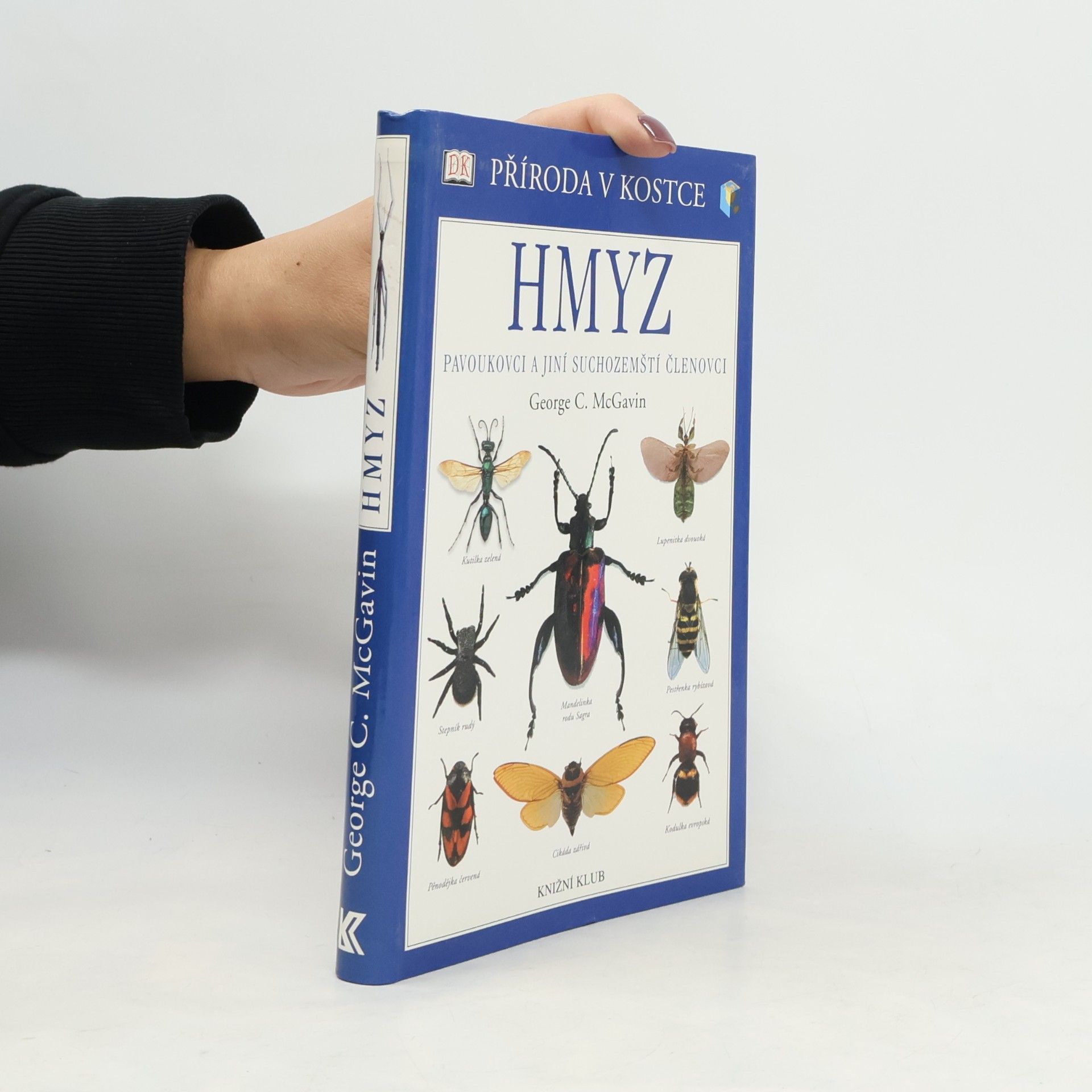 Hmyz
