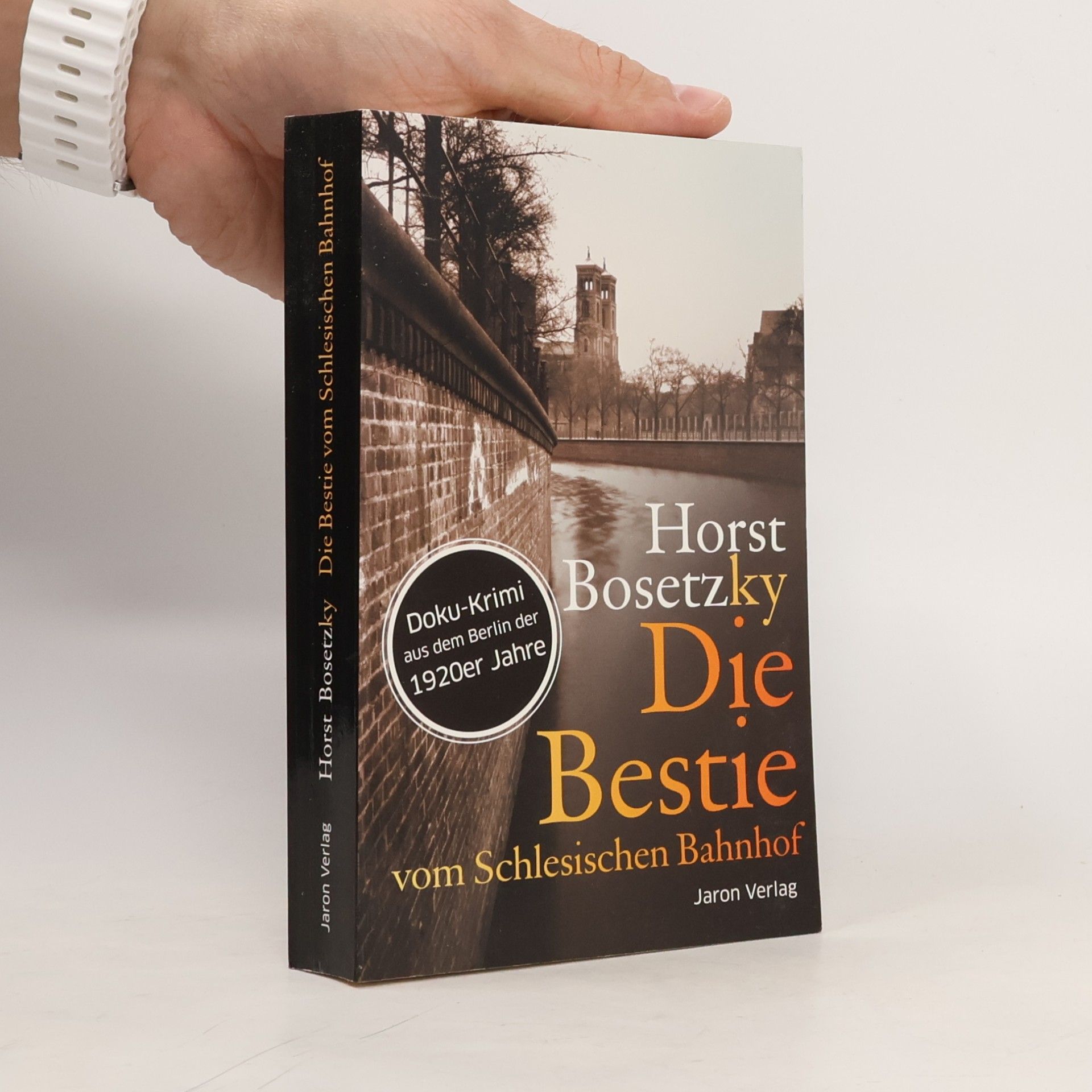 Horst Bosetzky Die Bestie vom Schlesischen Bahnhof