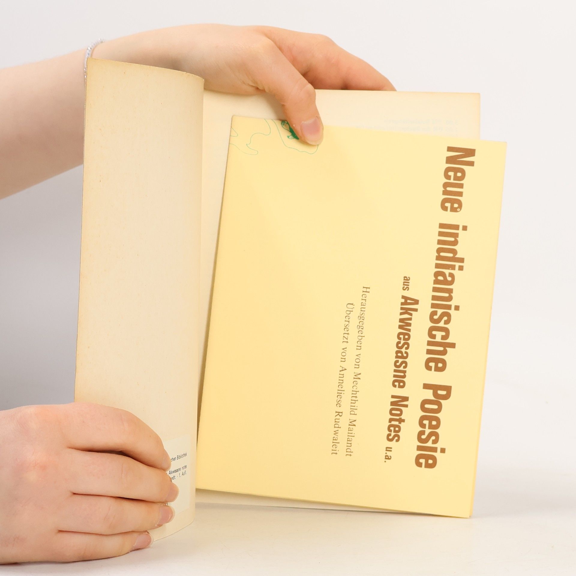 Mechthild Mailandt Neue indianische Poesie
