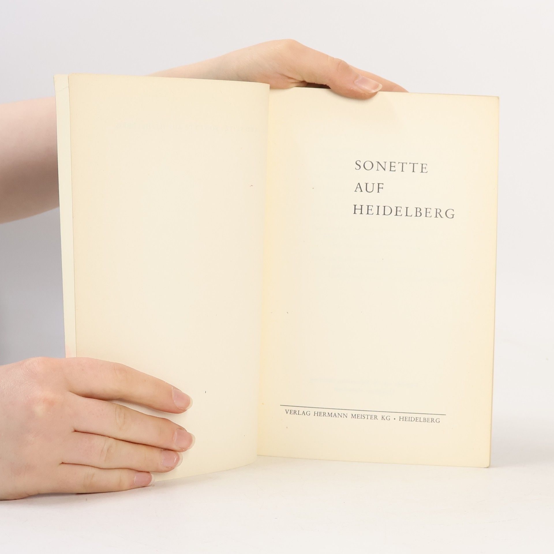 Alfred Seitz Sonette auf Heidelberg