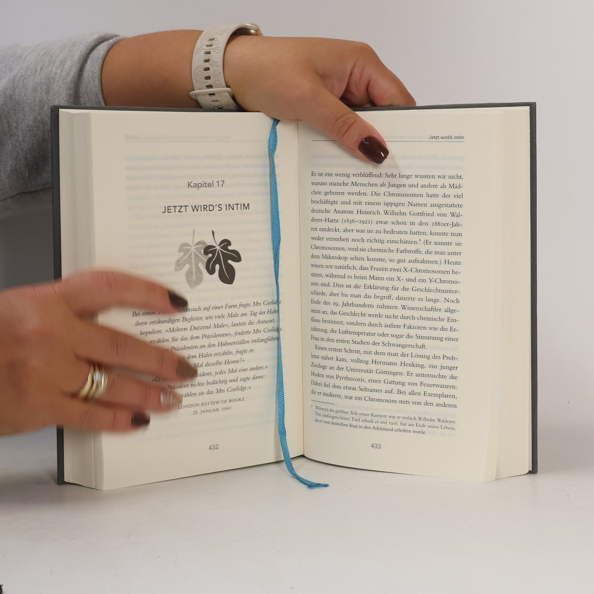 Bill Bryson Eine kurze Geschichte des menschlichen Körpers