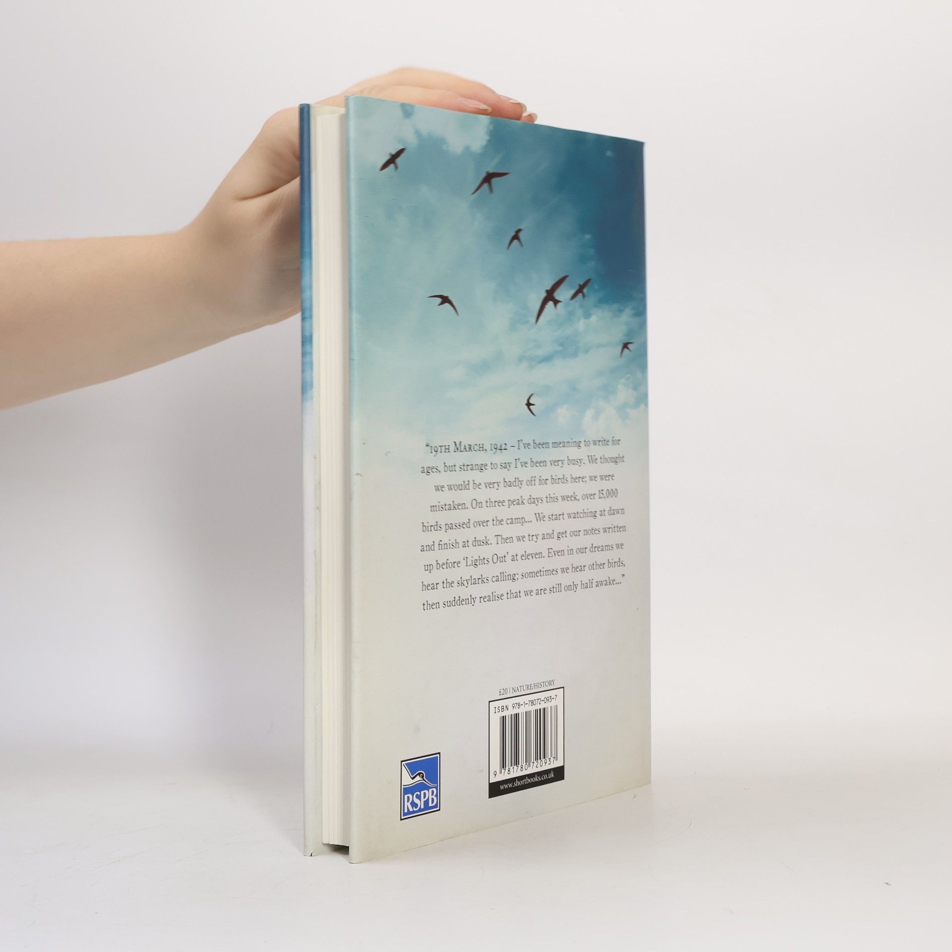 Derek Niemann Birds in a Cage