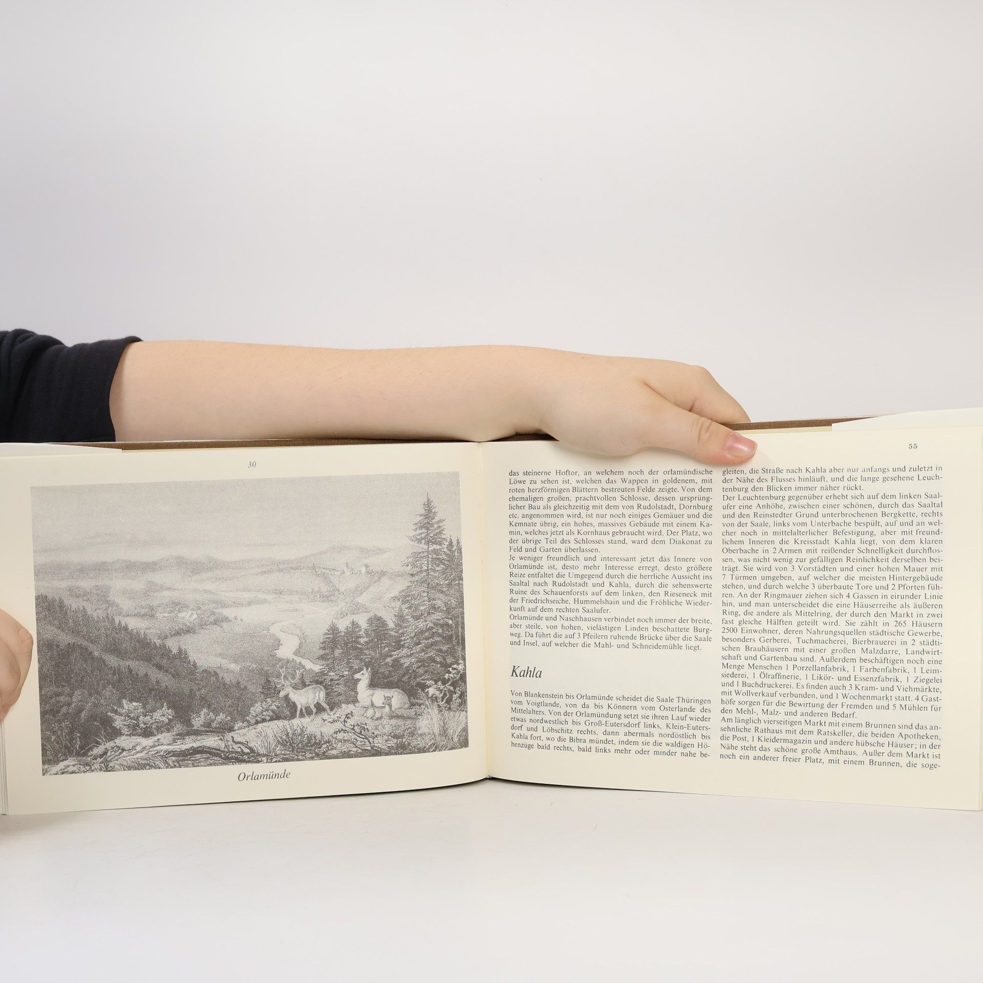 Karl Heinrich Wilhelm Münnich Die malerischen Ufer der Saale