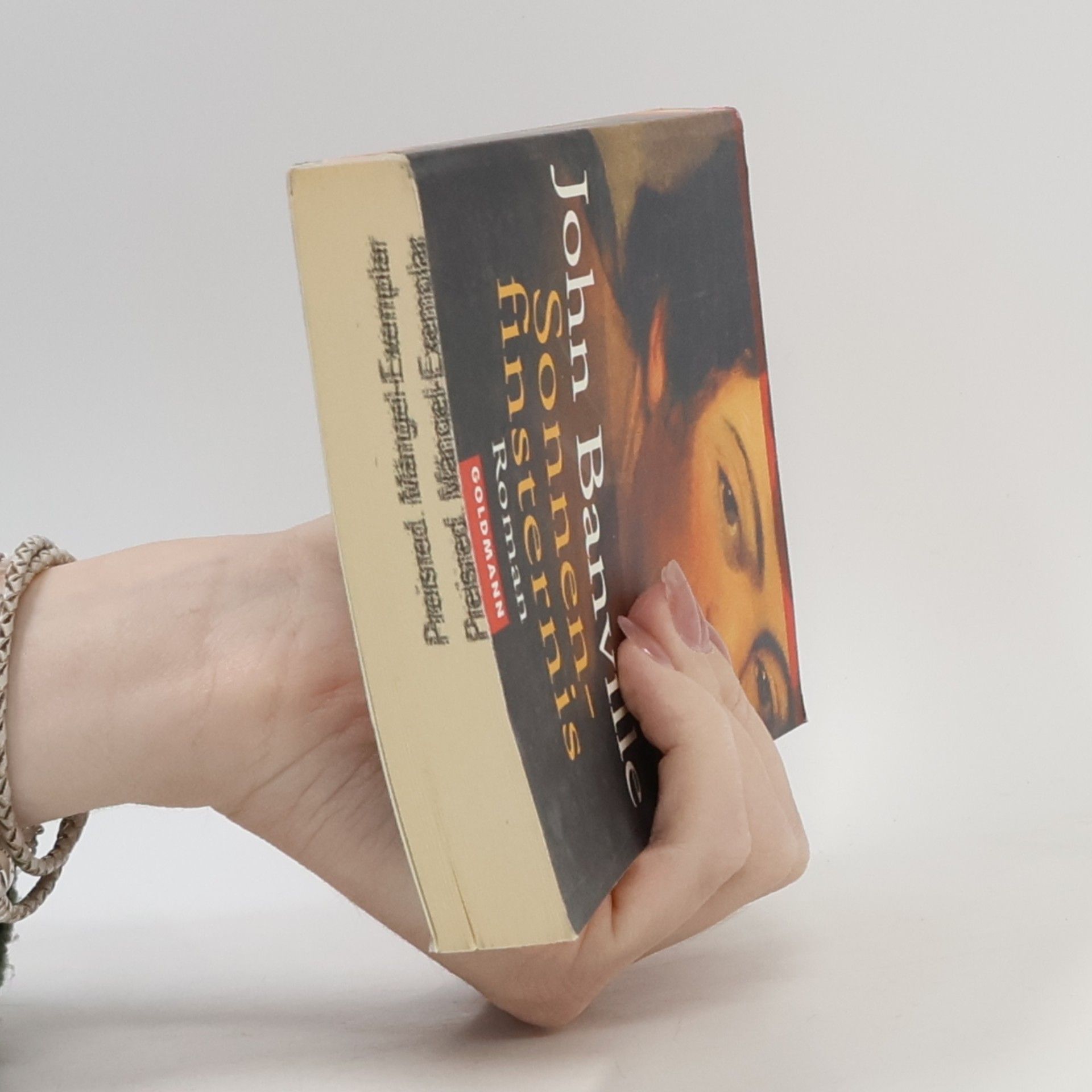 John Banville Sonnenfinsternis