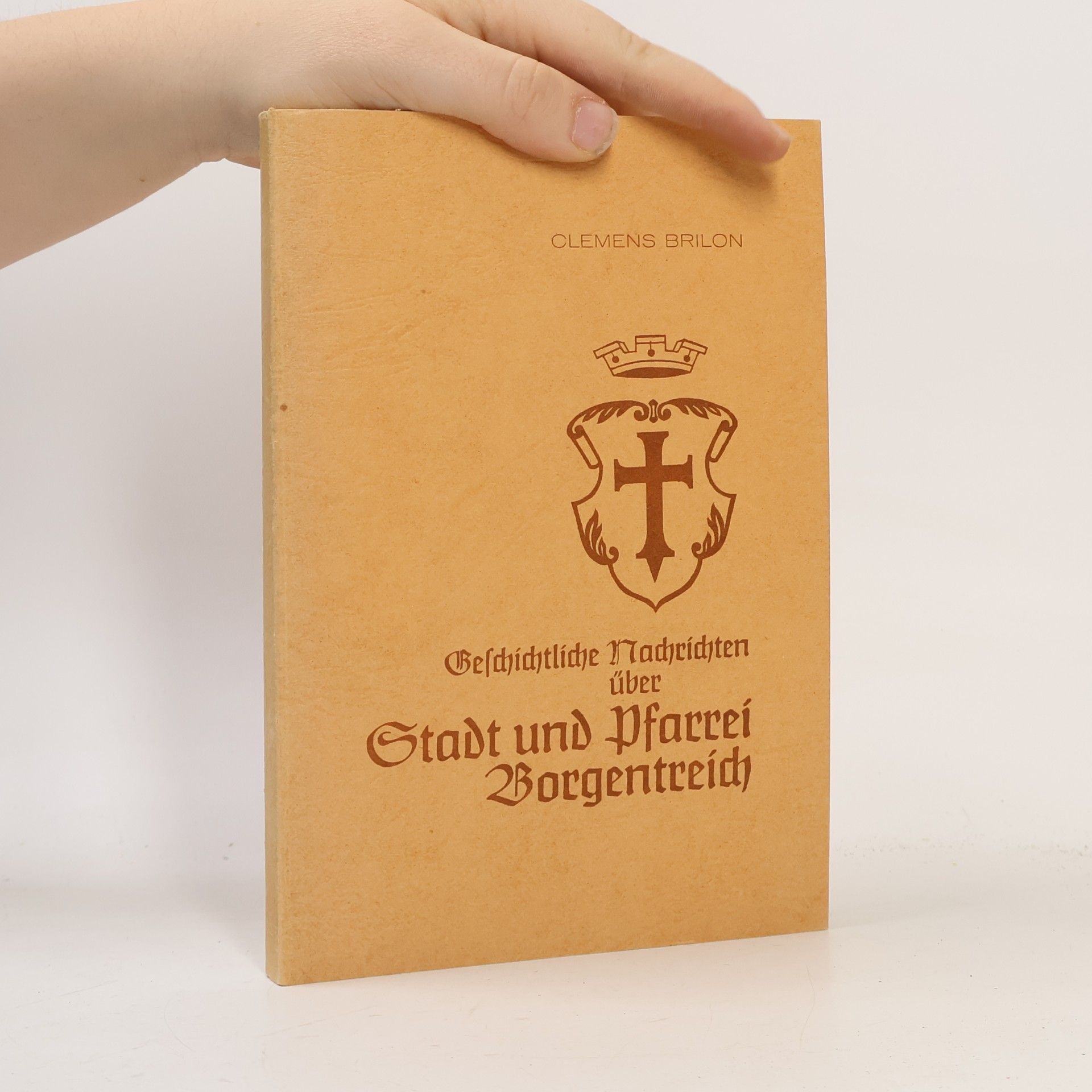 Geschichtliche Nachrichten über Stadt und Pfarrei Borgentreich