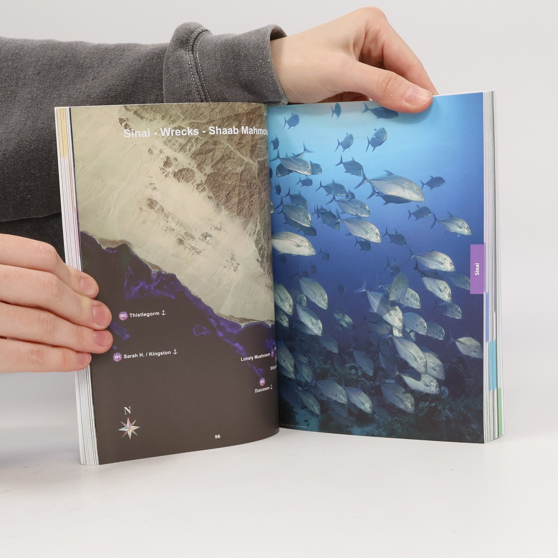 Various authors Red Sea Partner