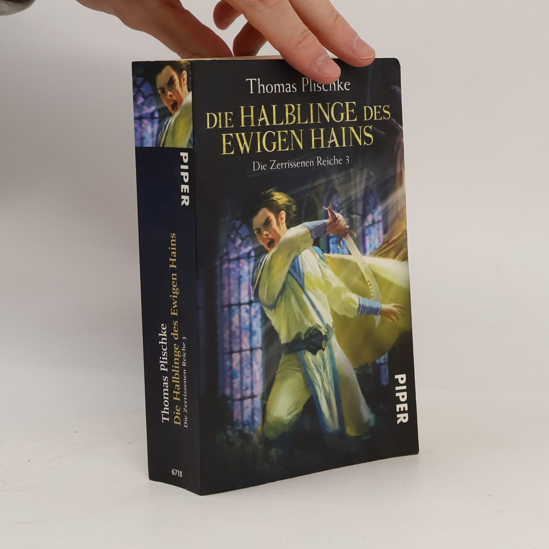 Die Zerrissenen Reiche - 3: Die Halblinge des Ewigen Hains