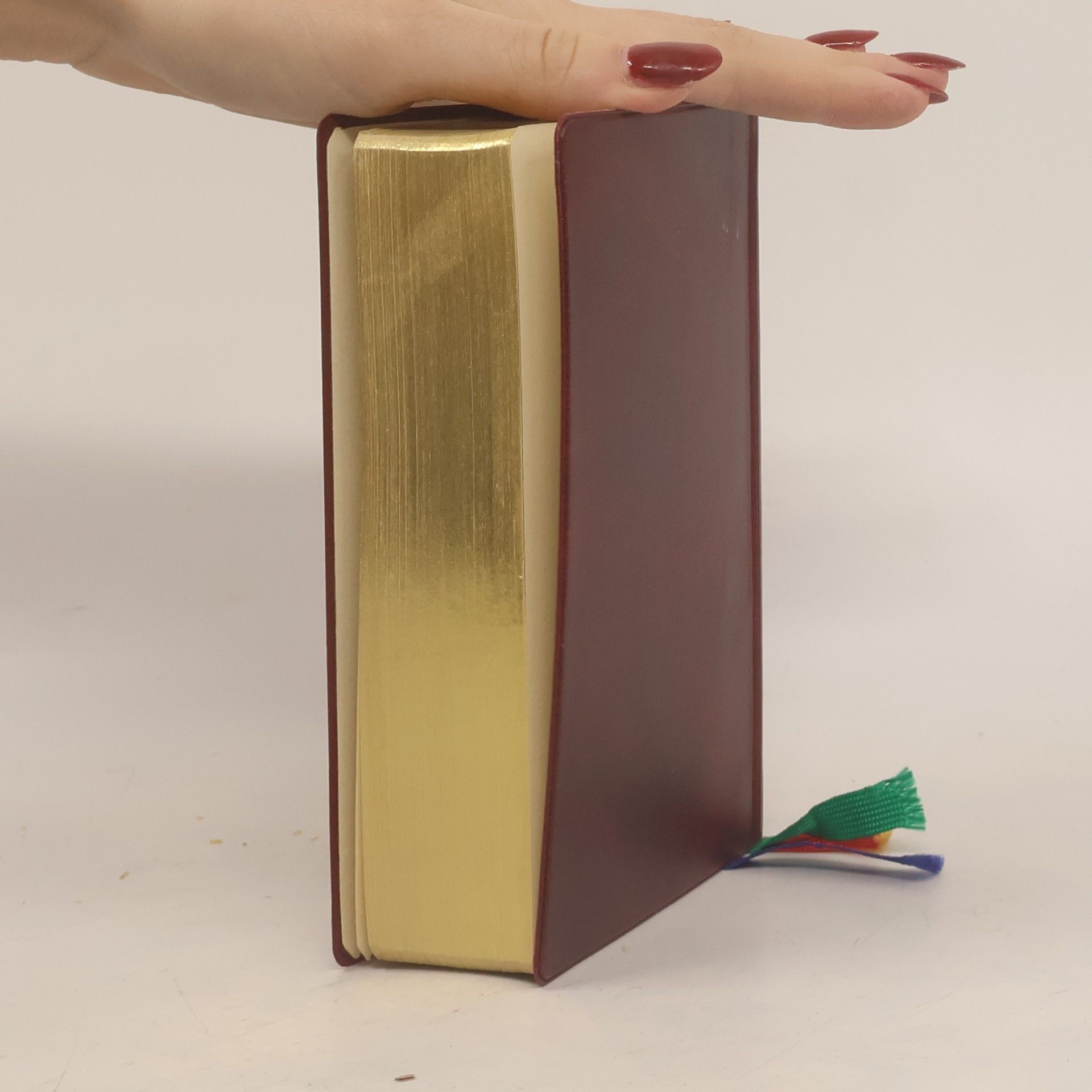 Autores varios Der Grosse Sonntags-Schott. Das vollständige Messbuch I