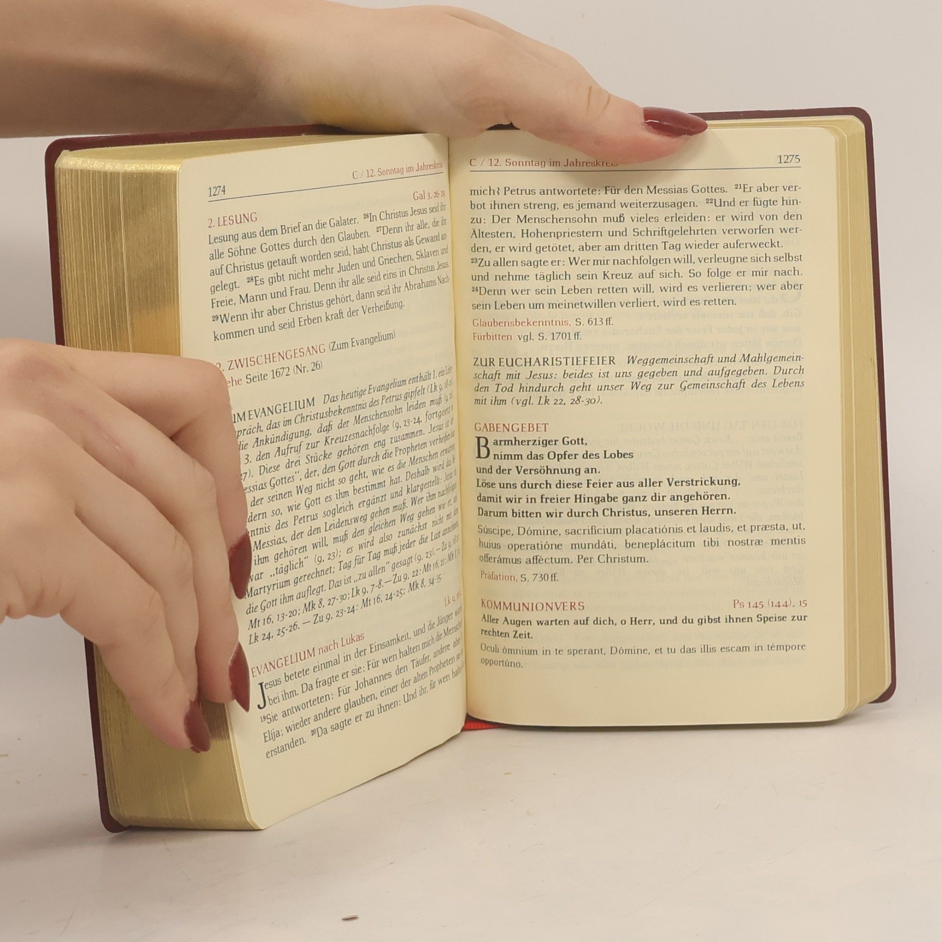 Autores varios Der Grosse Sonntags-Schott. Das vollständige Messbuch I