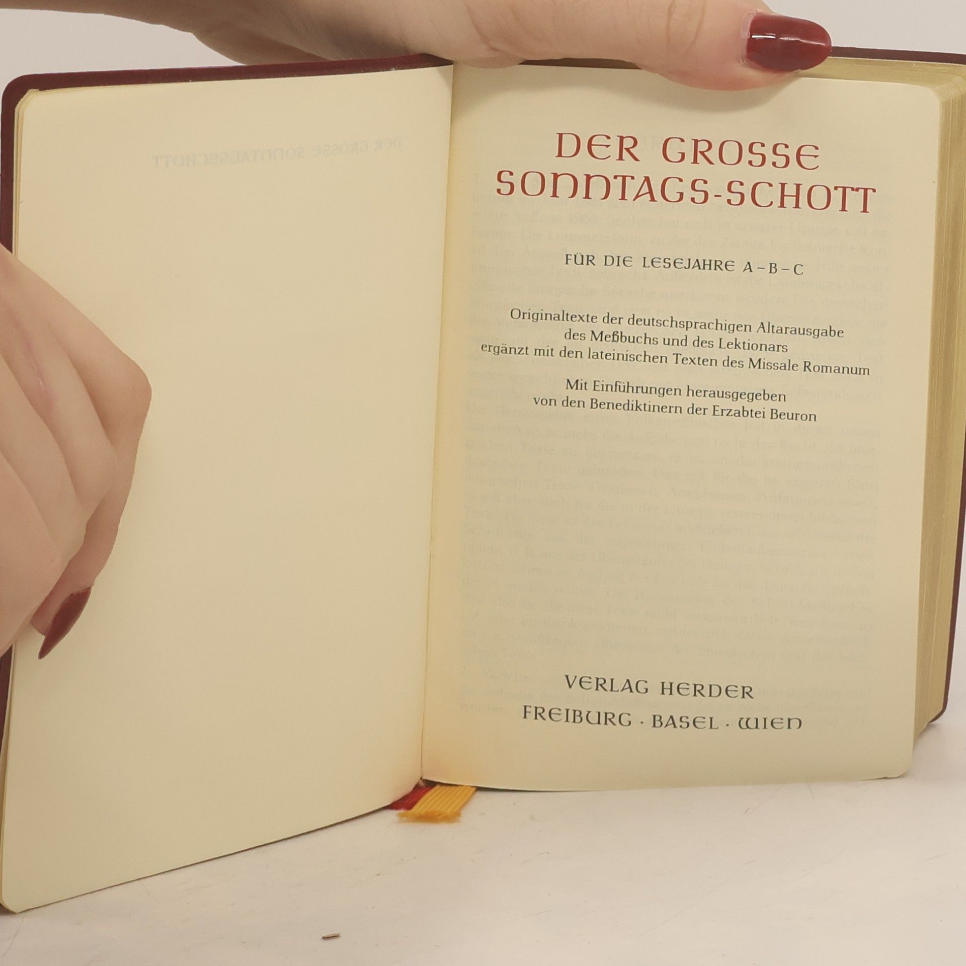Autores varios Der Grosse Sonntags-Schott. Das vollständige Messbuch I
