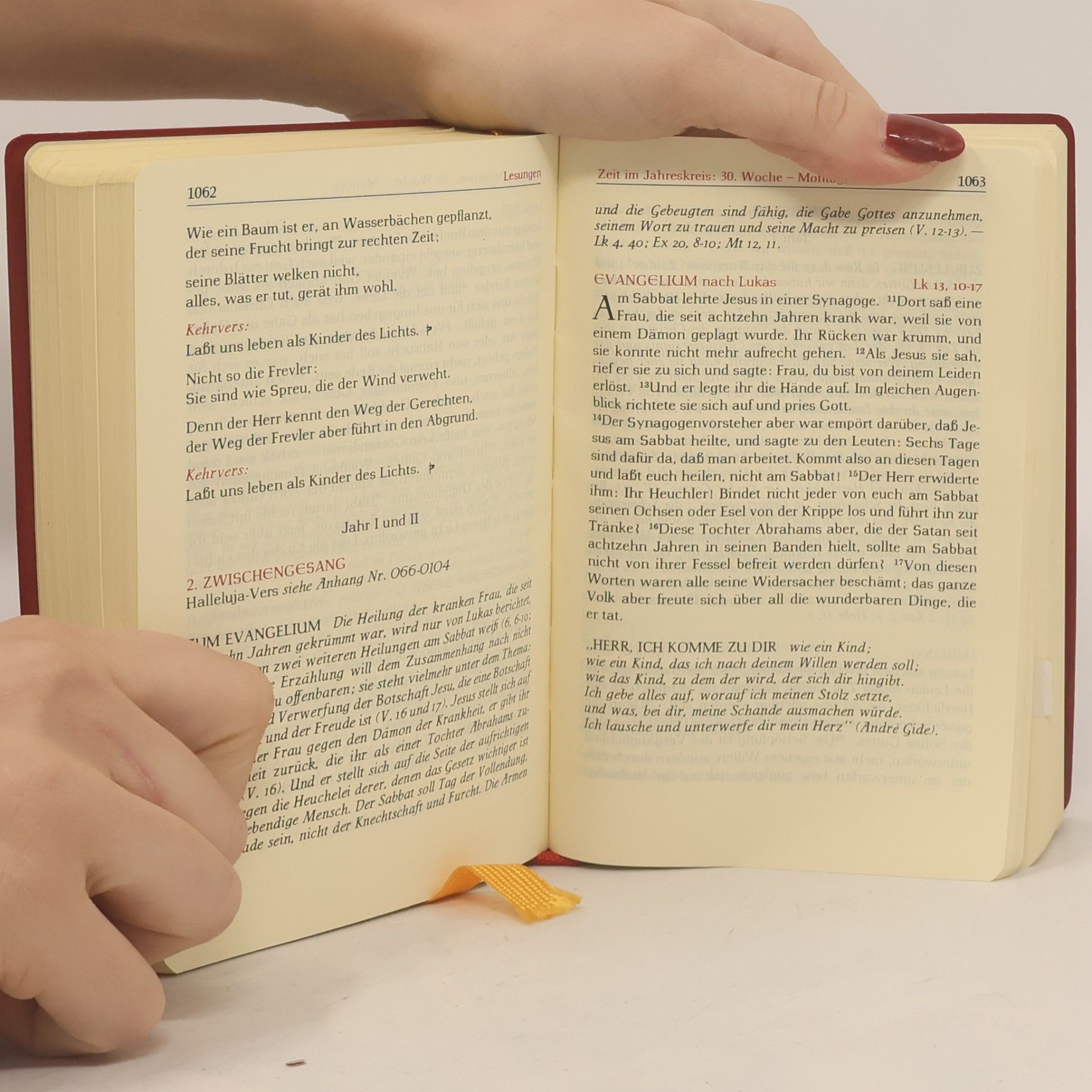 Anselm Schott Der Große Wochentags-Schott 2. Das vollständige Messbuch III.