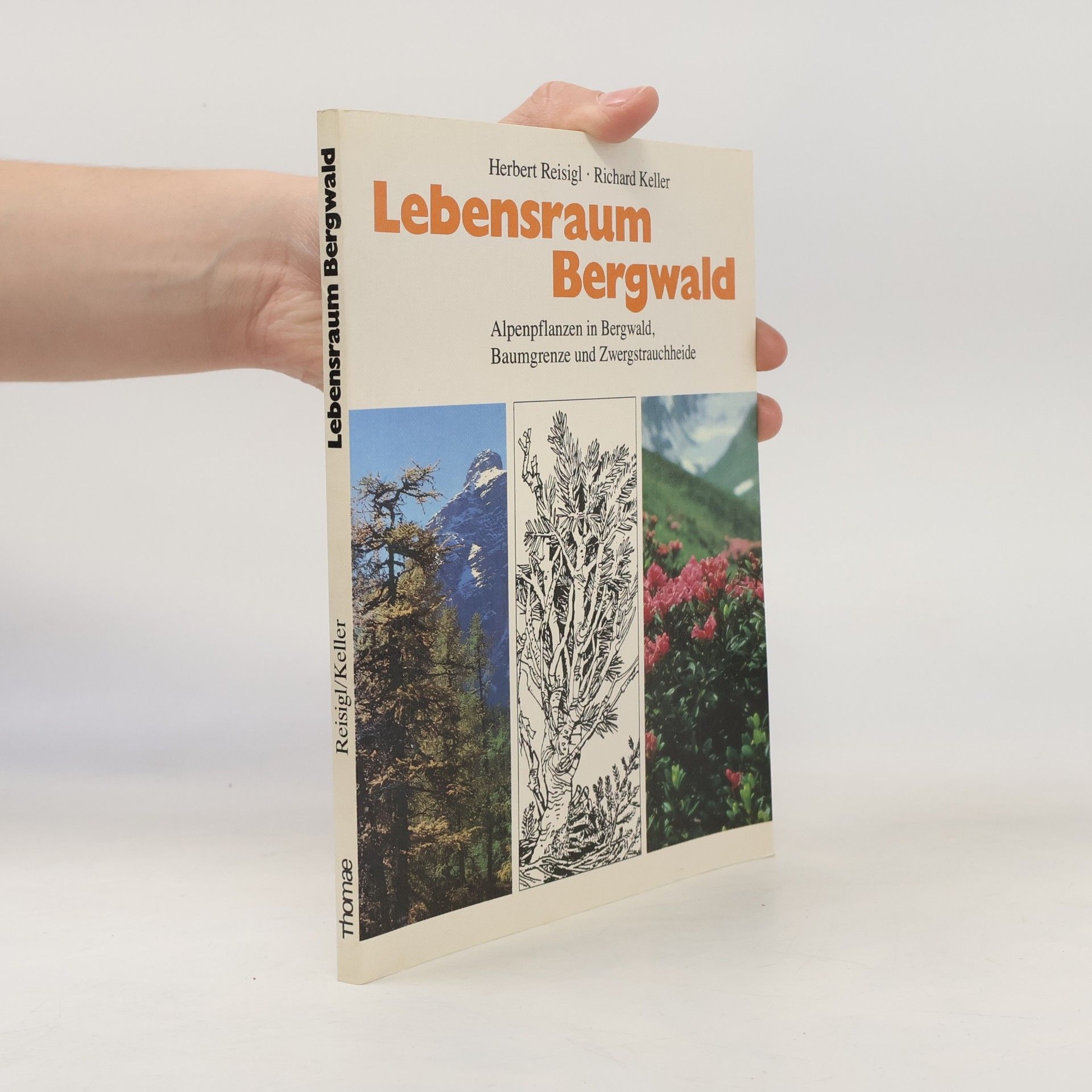 Herbert Reisigl Lebensraum Bergwald