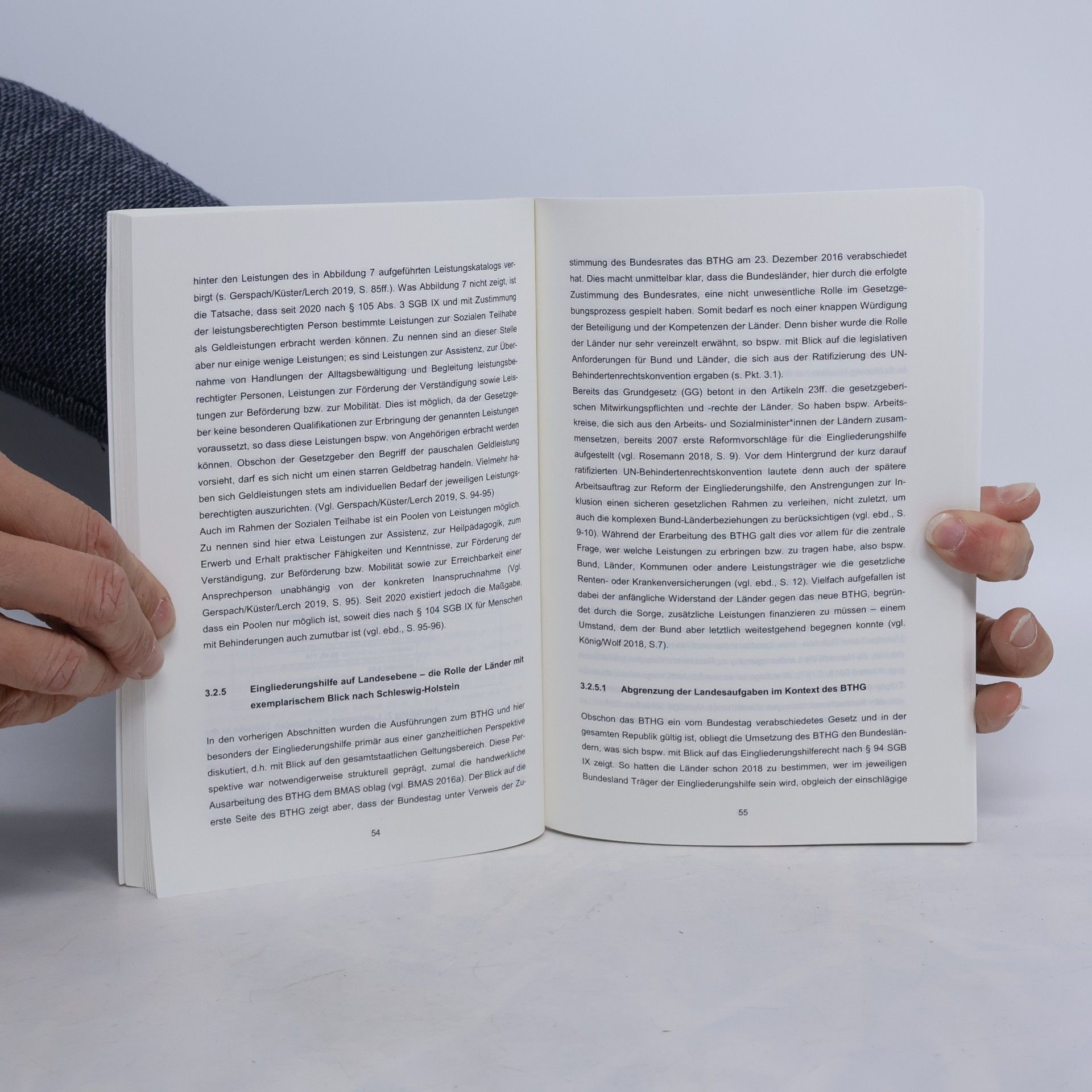 Christiane Schlenner Case Management in der Eingliederungshilfe im Rahmen des neuen BTHG