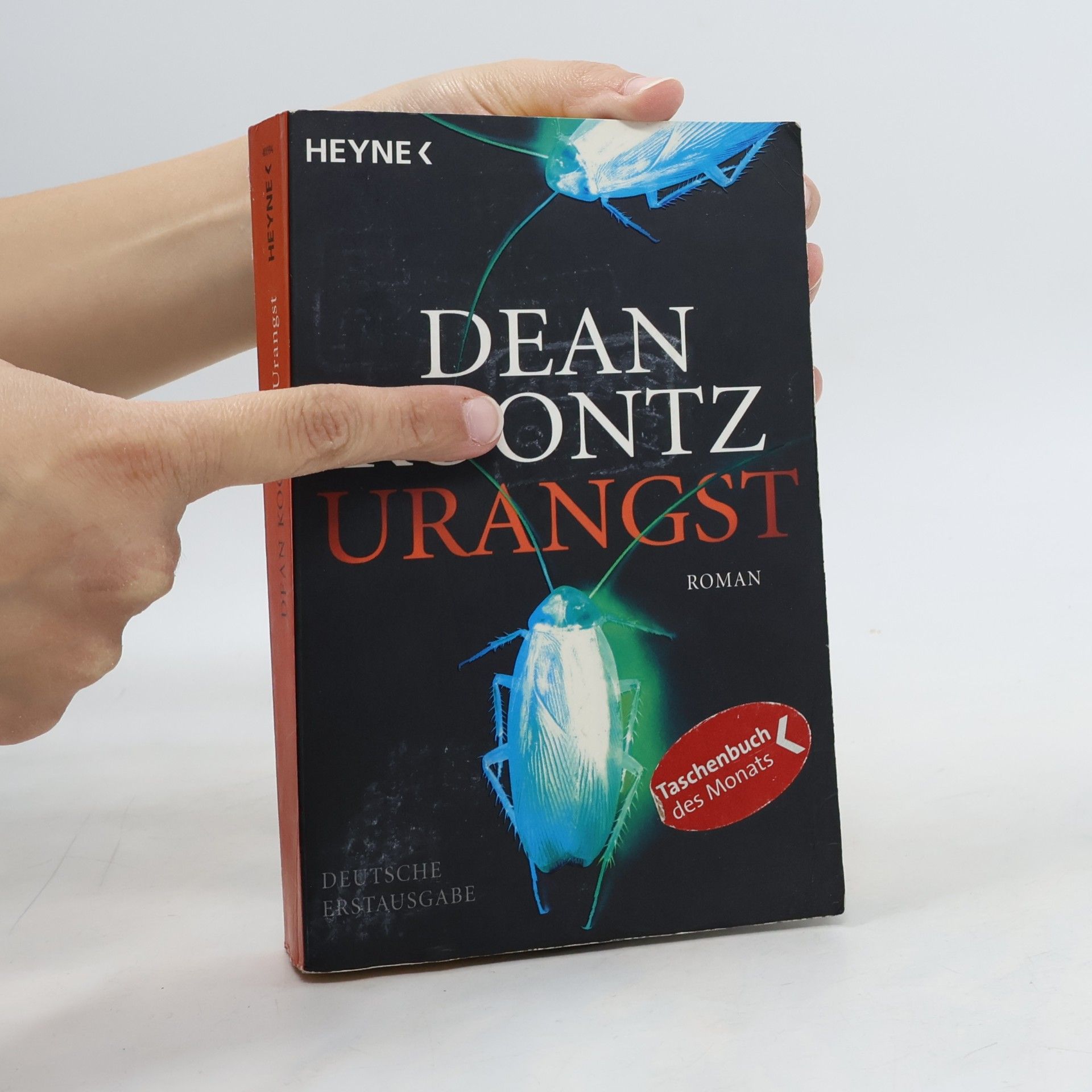 Dean Ray Koontz Urangst