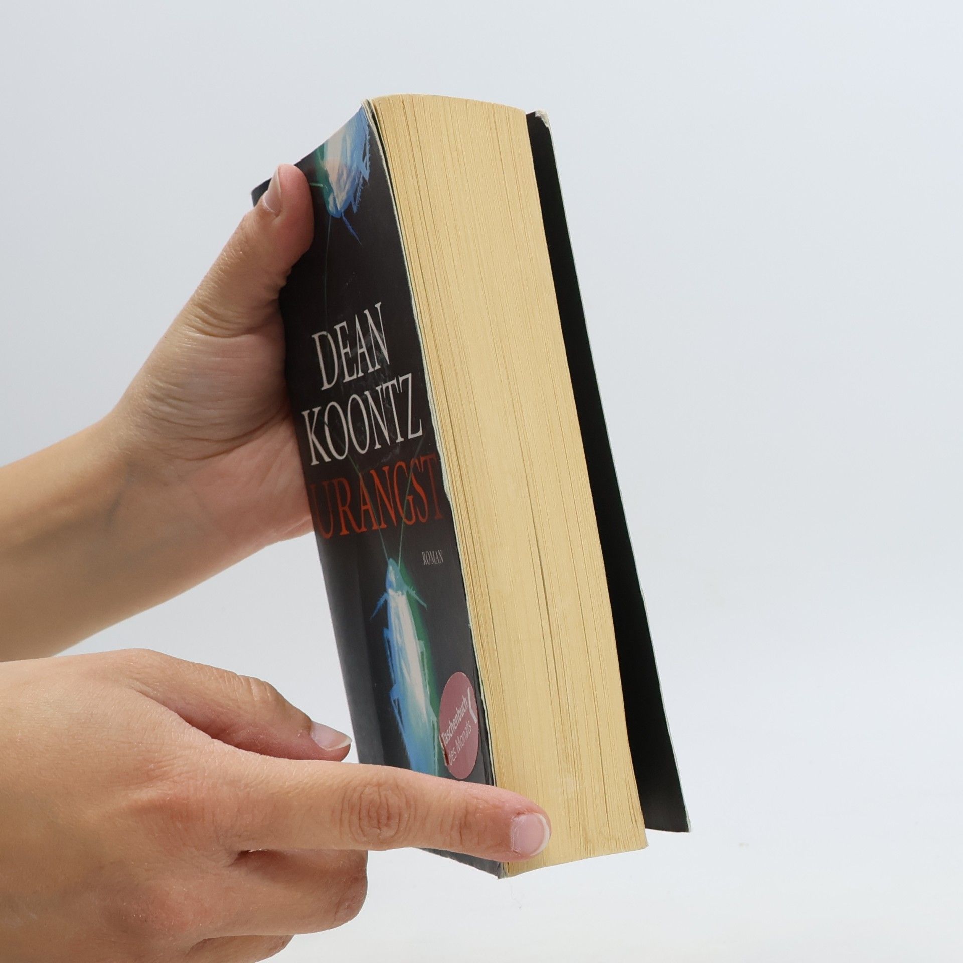 Dean Ray Koontz Urangst