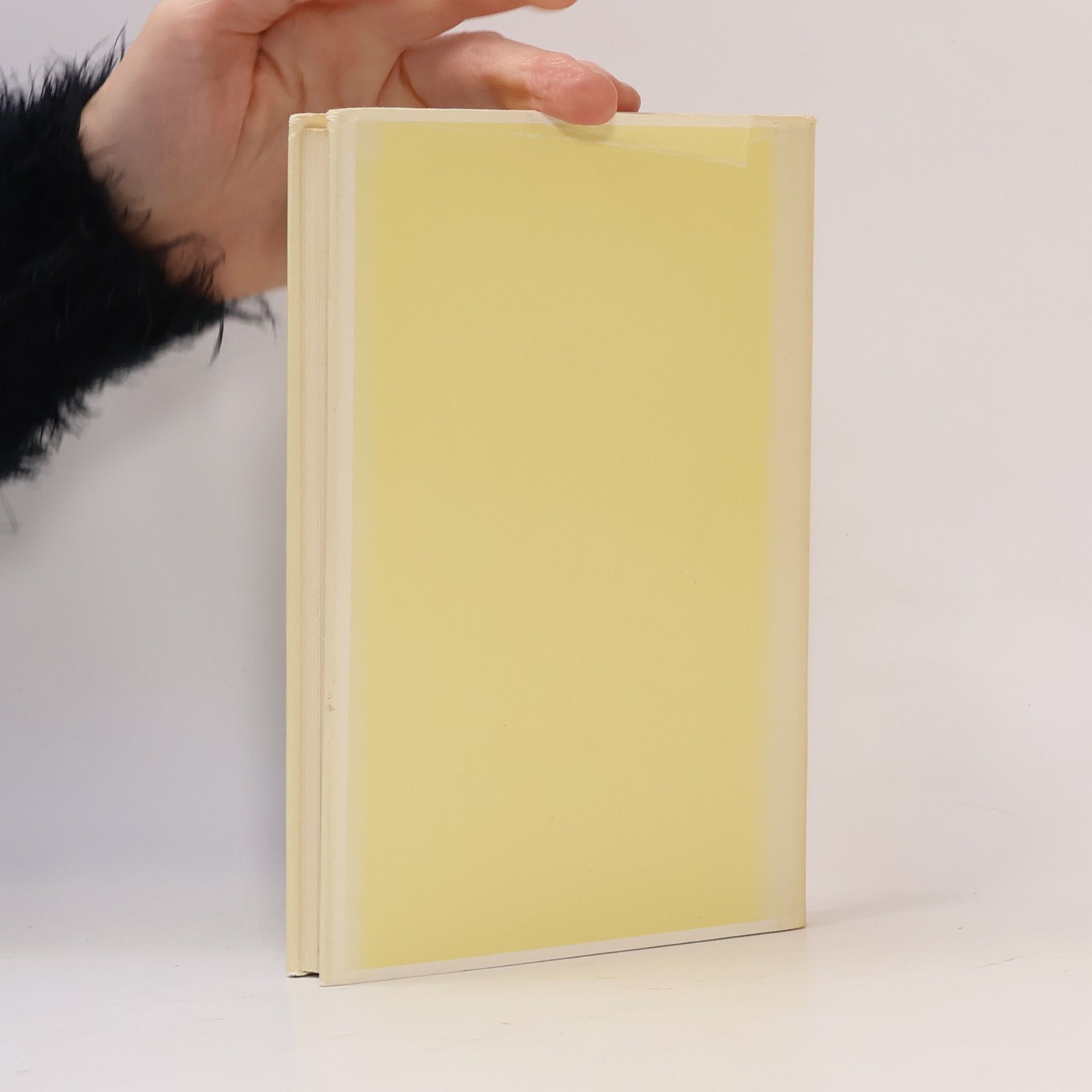 Ivan Turgenev Frühlingsfluten