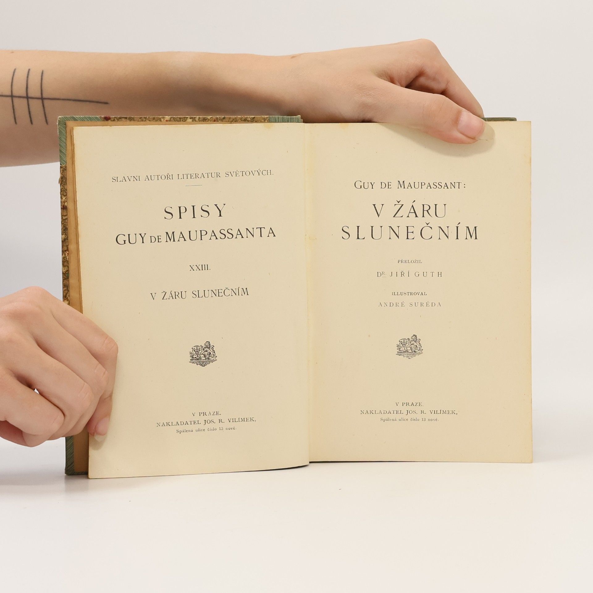 Guy de Maupassant V žáru slunečním