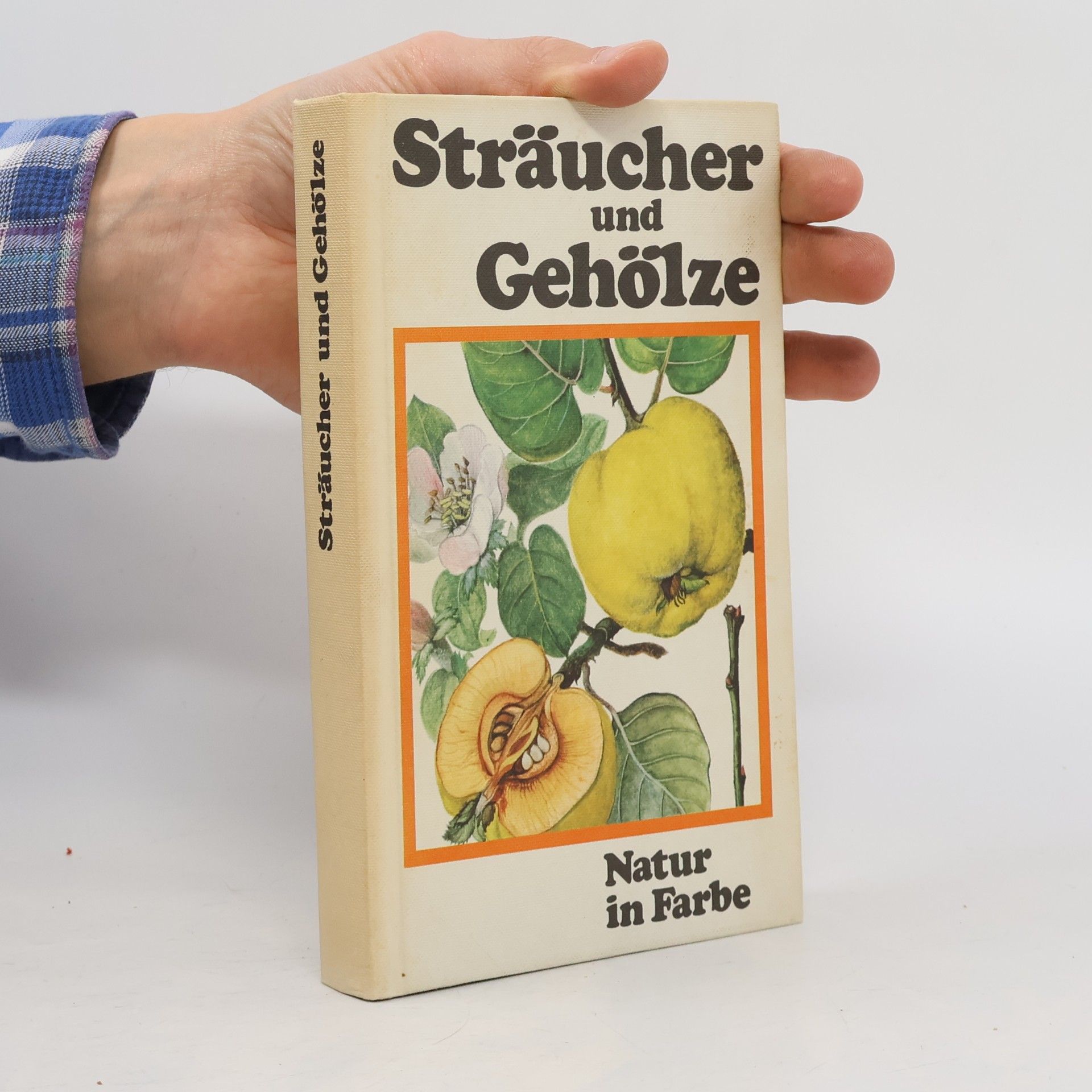 J. Pokorný Sträucher und Gehölze