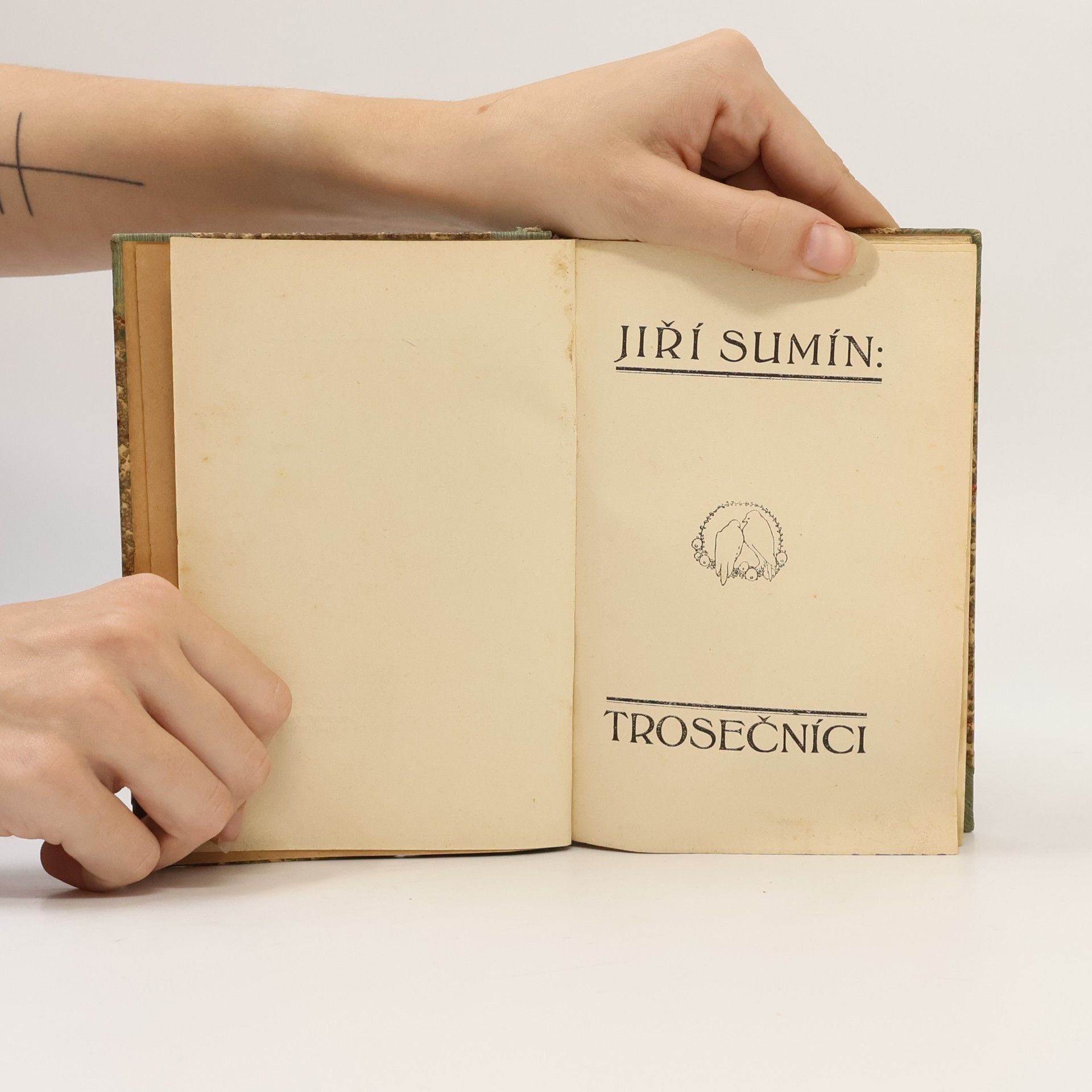 Jiří Sumín Trosečníci