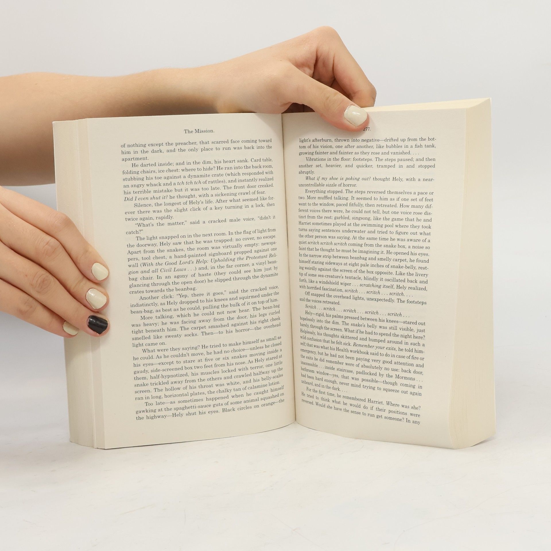 Donna Tartt The Little Friend