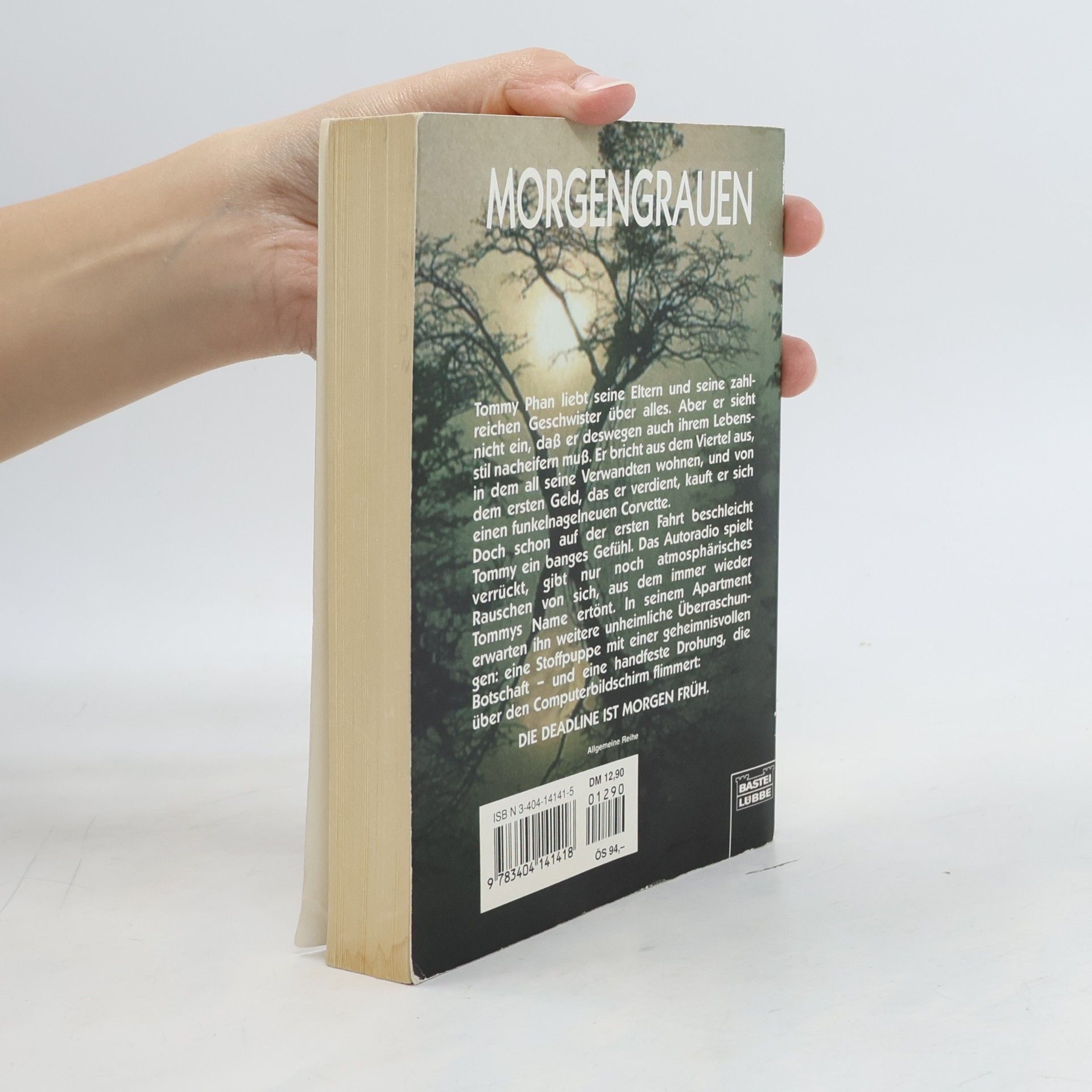 Dean Ray Koontz Morgengrauen