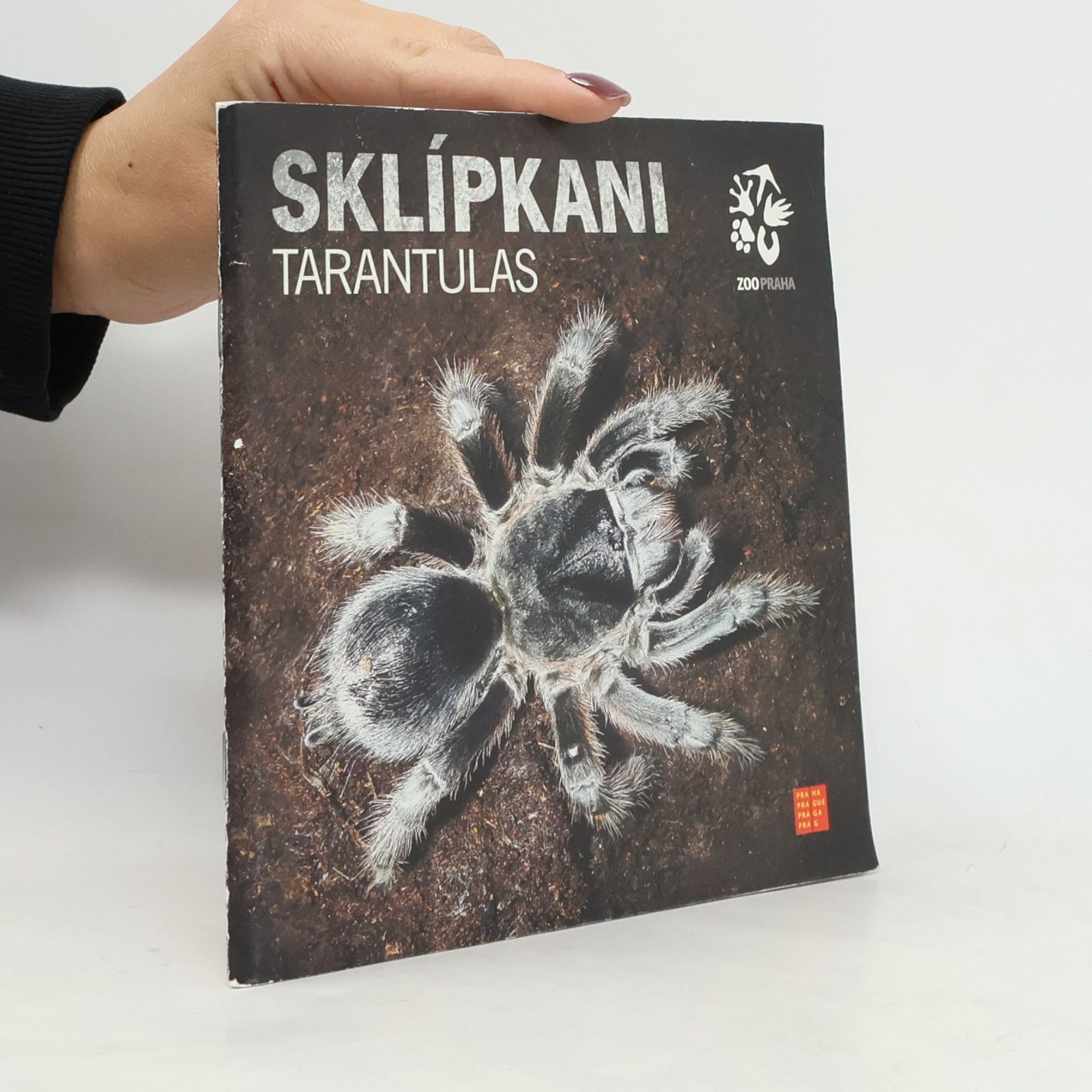Sklípkani = Tarantulas