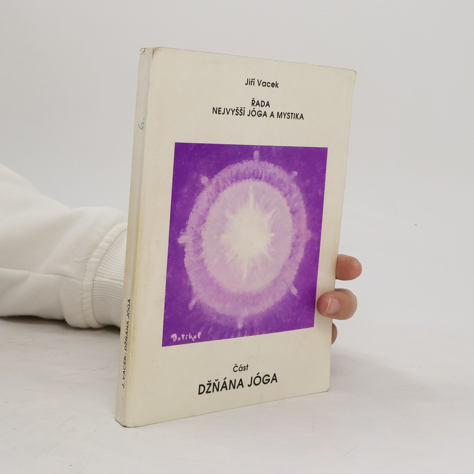 Jiří Vacek Nejvyšší jóga a mystika. Džňána jóga