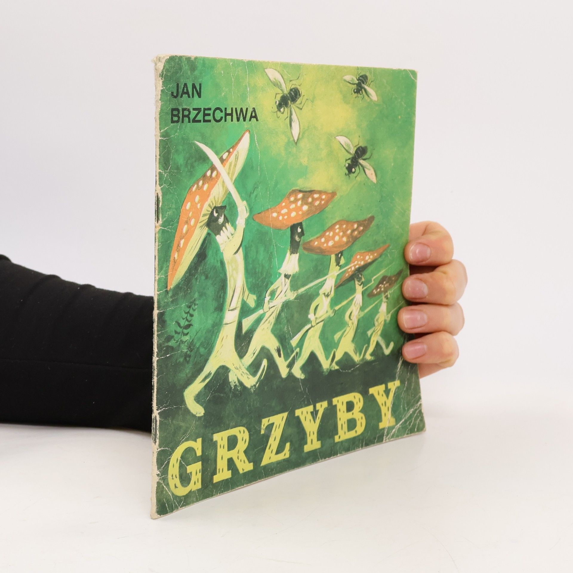 Jan Brzechwa Grzyby