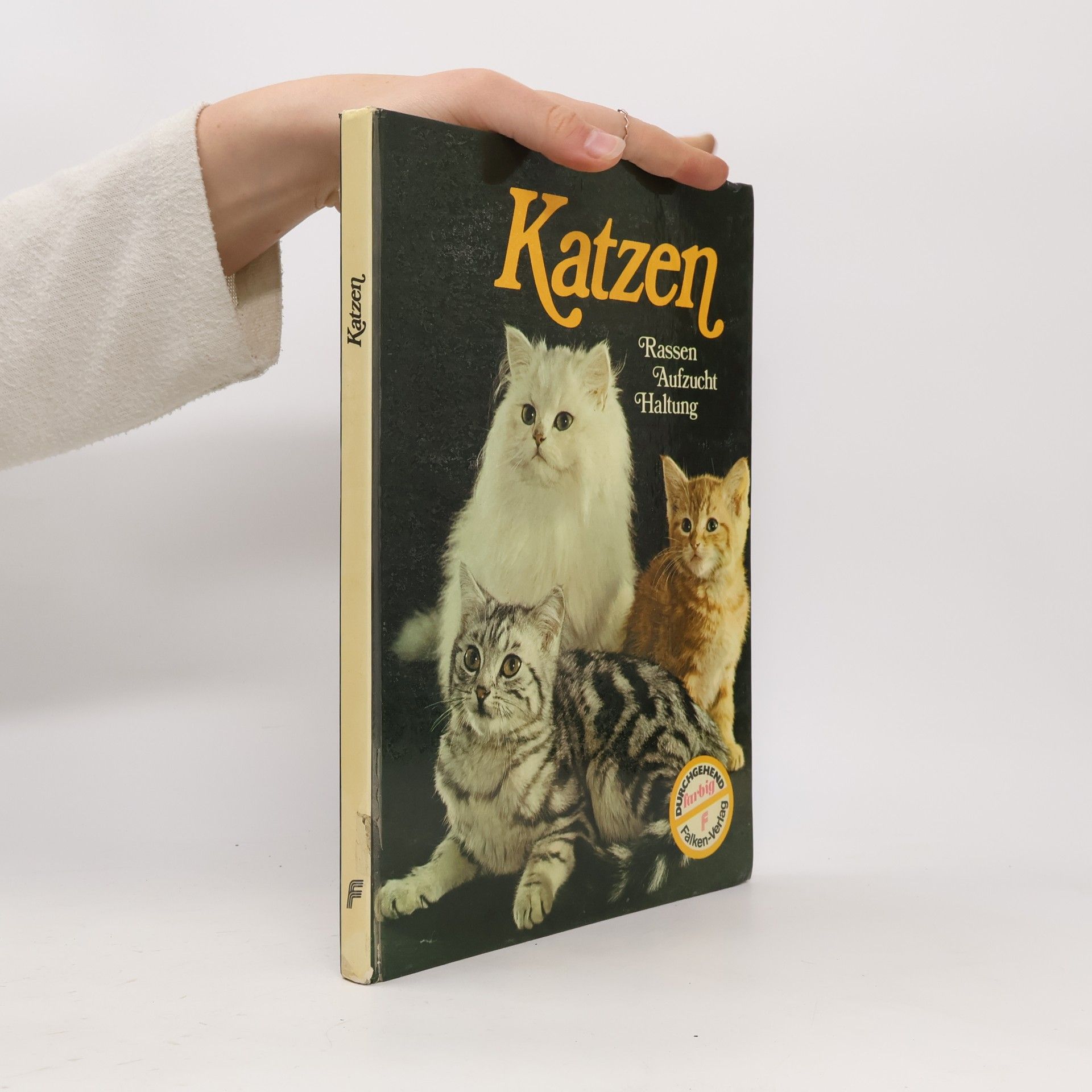 Katzen