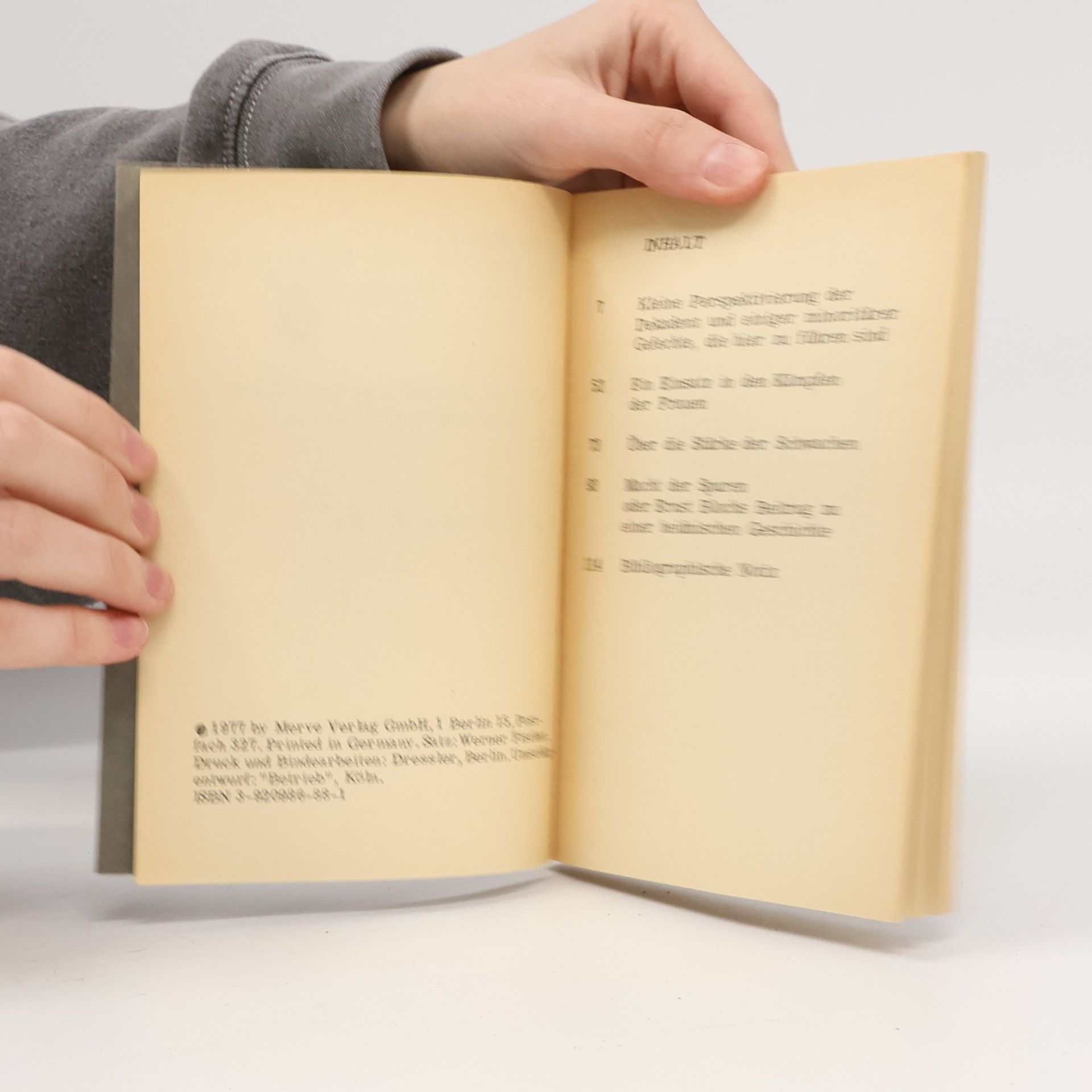 Jean-François Lyotard Das Patchwork der Minderheiten