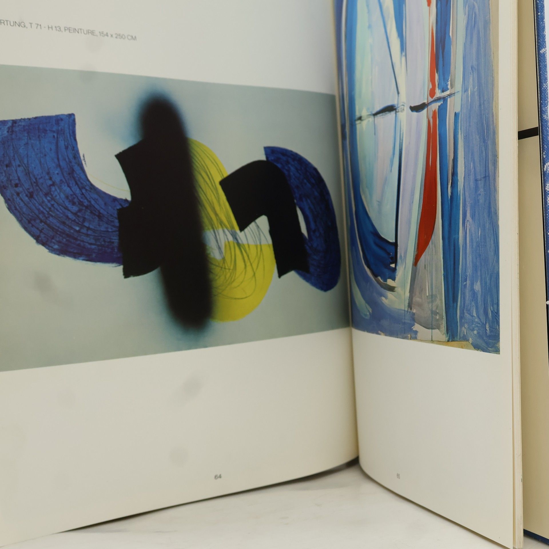 Collectif d'auteurs La Fondation Marguerite et Aimé Maeght