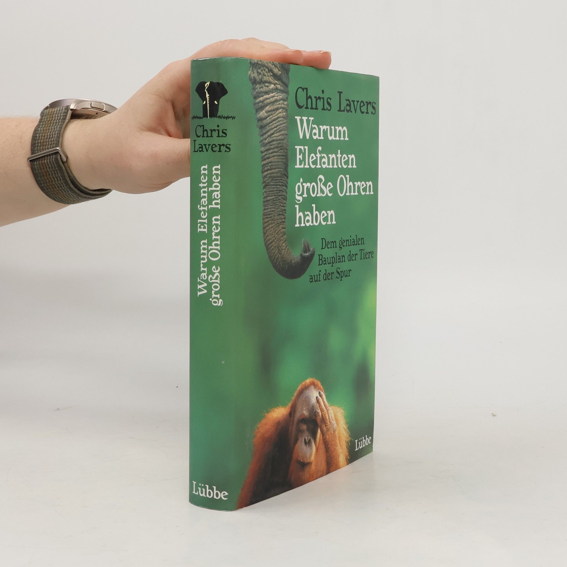 Warum Elefanten große Ohren haben