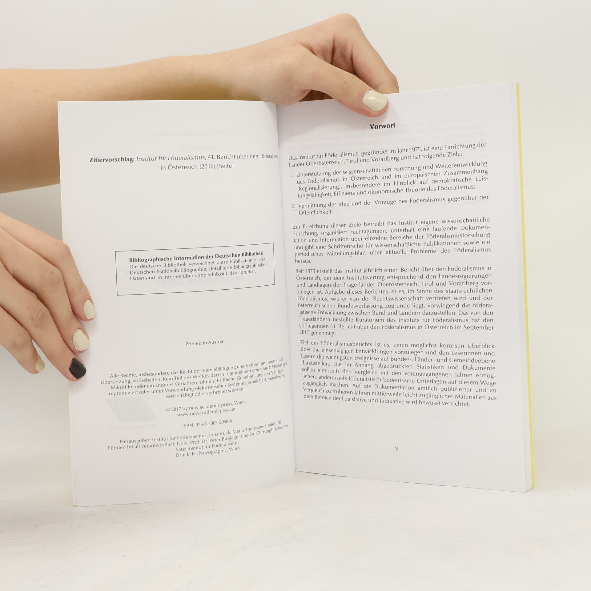 Autorenkollektiv 41. Bericht über den Föderalismus in Österreich 2016