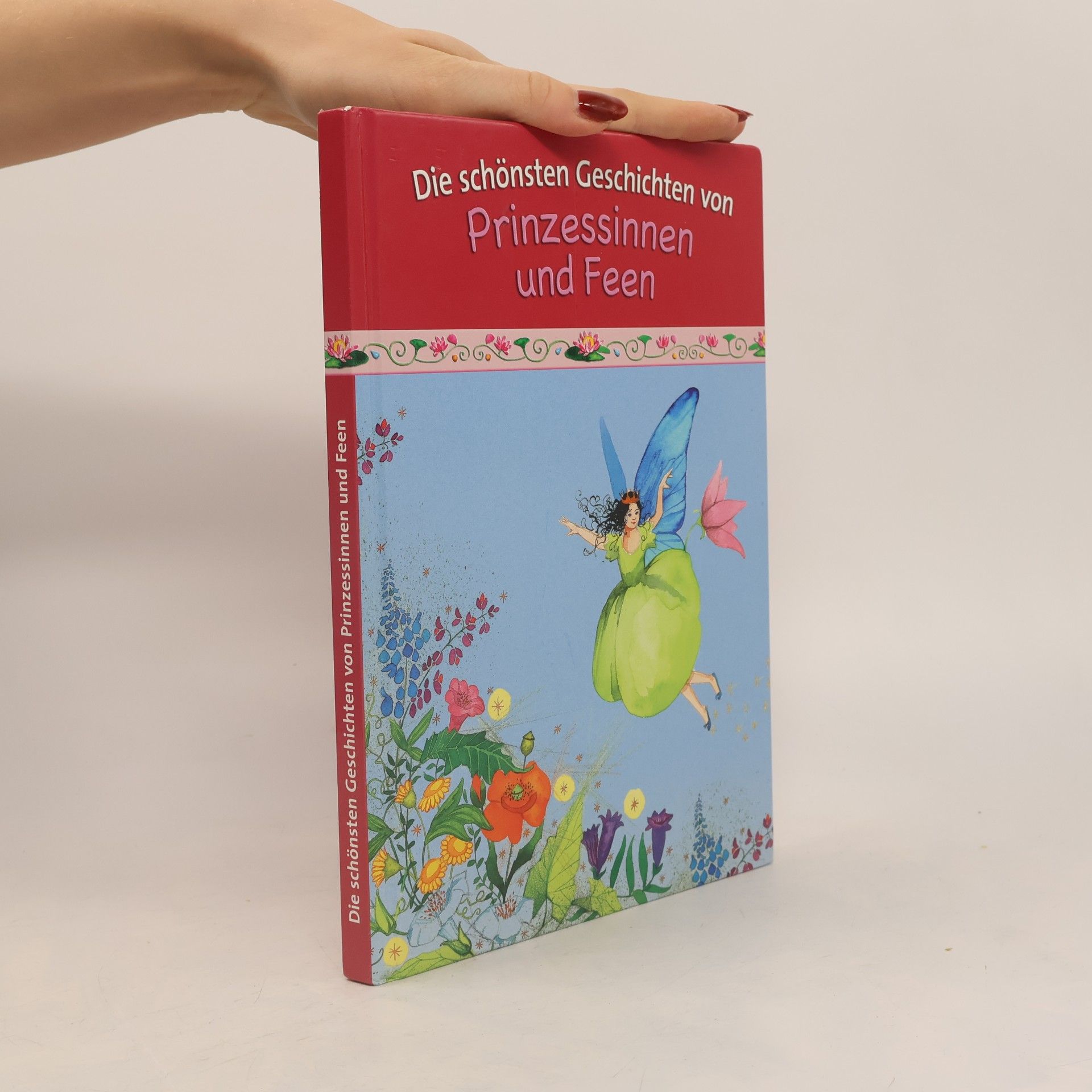 Kolektiv autorů Prinzessinnen und Feen