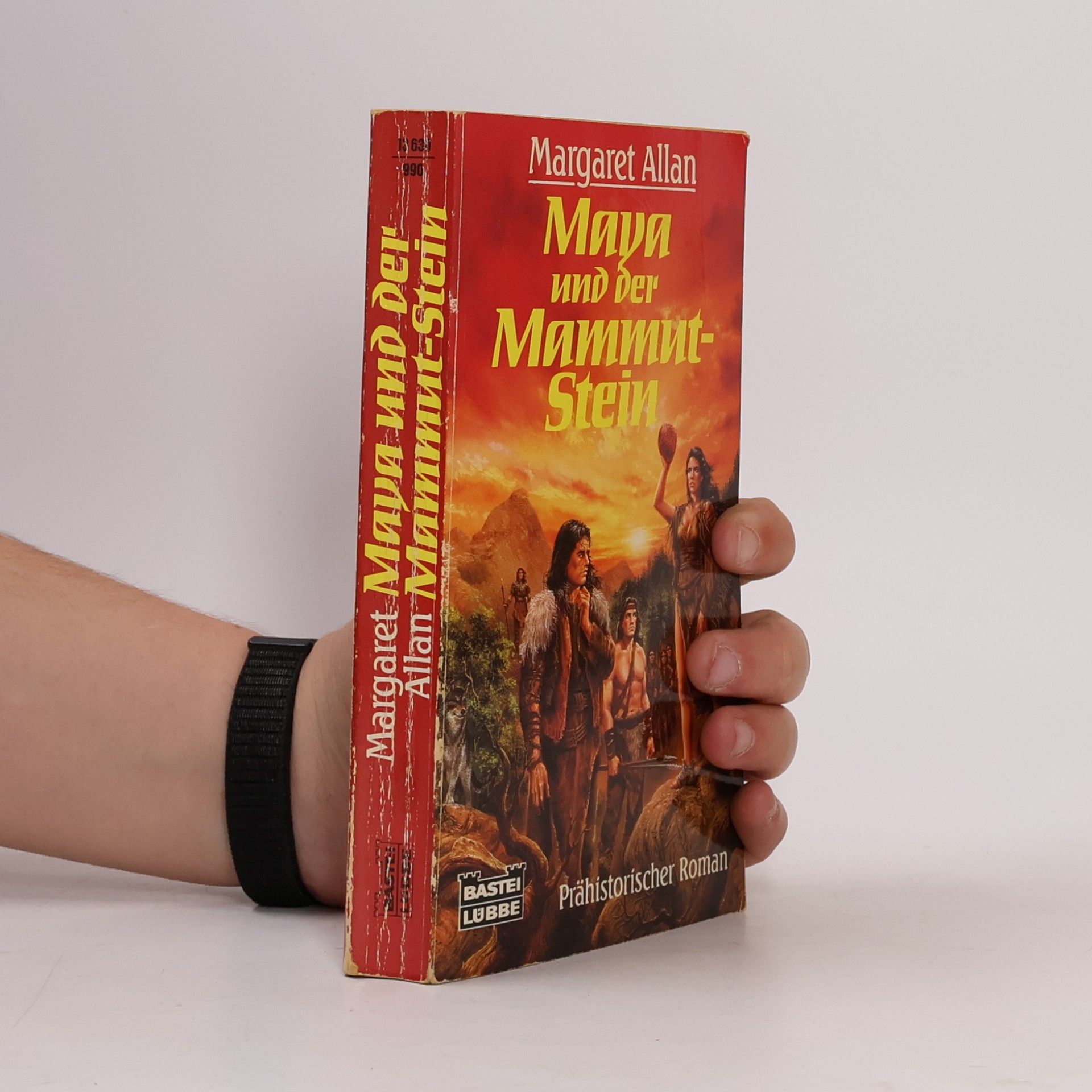 Maya und der Mammutstein
