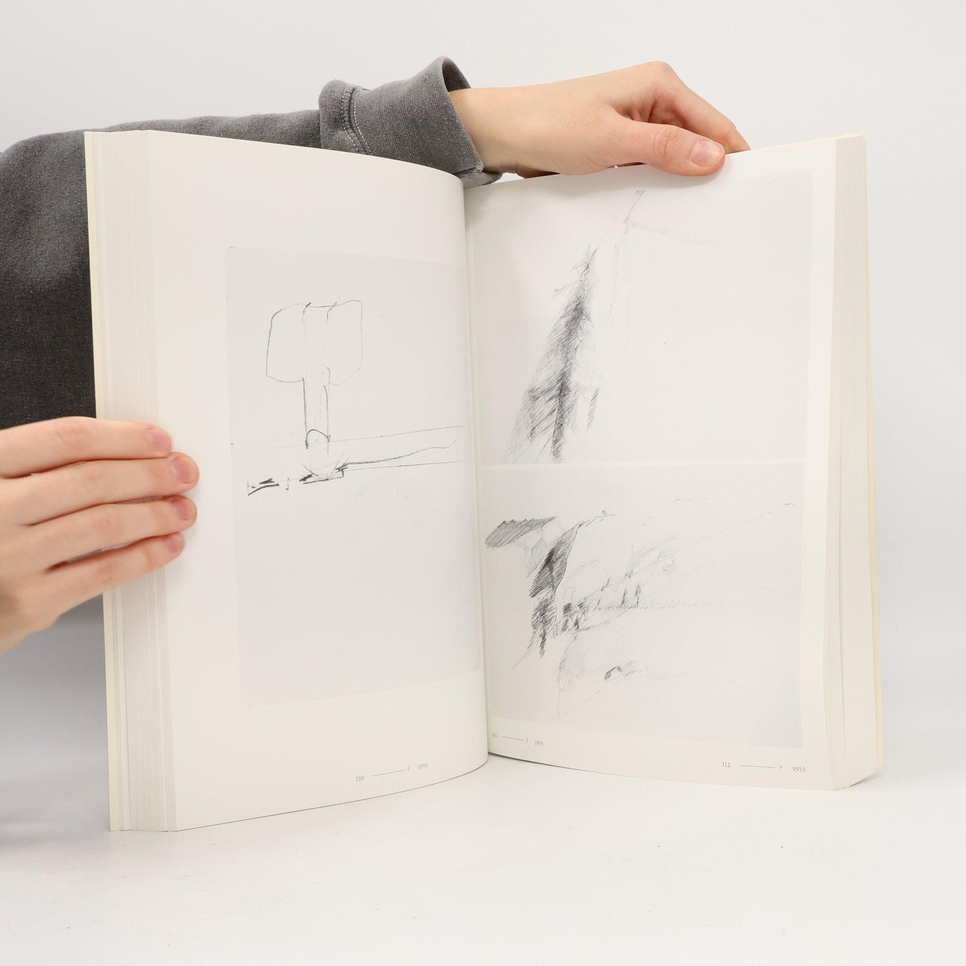 Dieter Koepplin Joseph Beuys