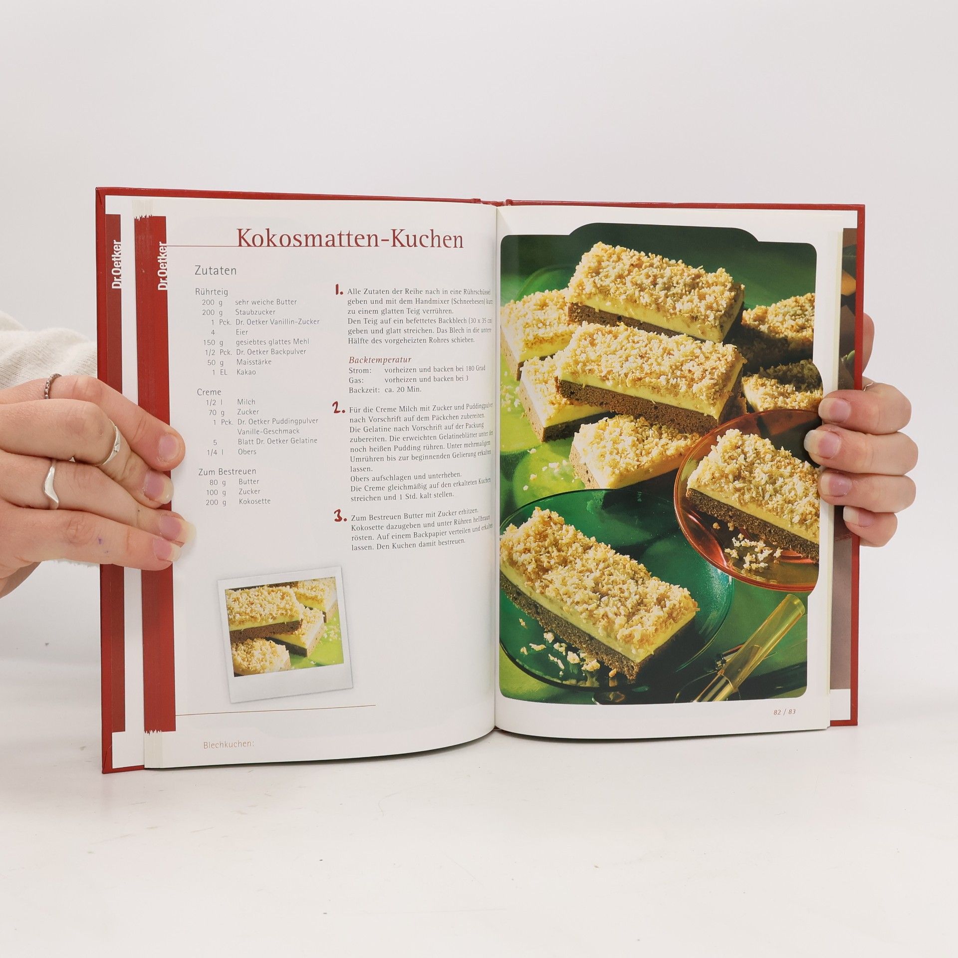 Kolektív autorov Blechkuchen
