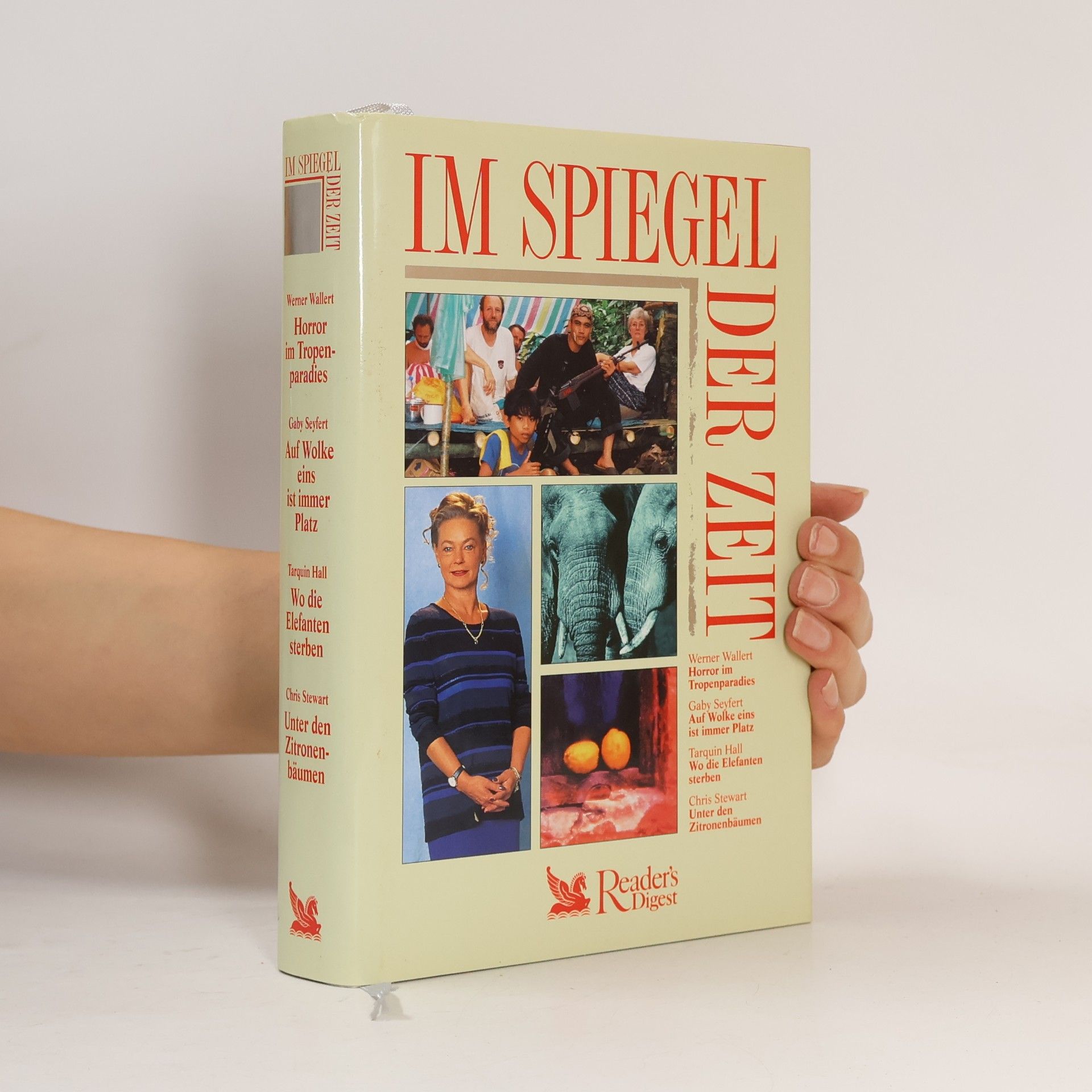 Im Spiegel der Zeit