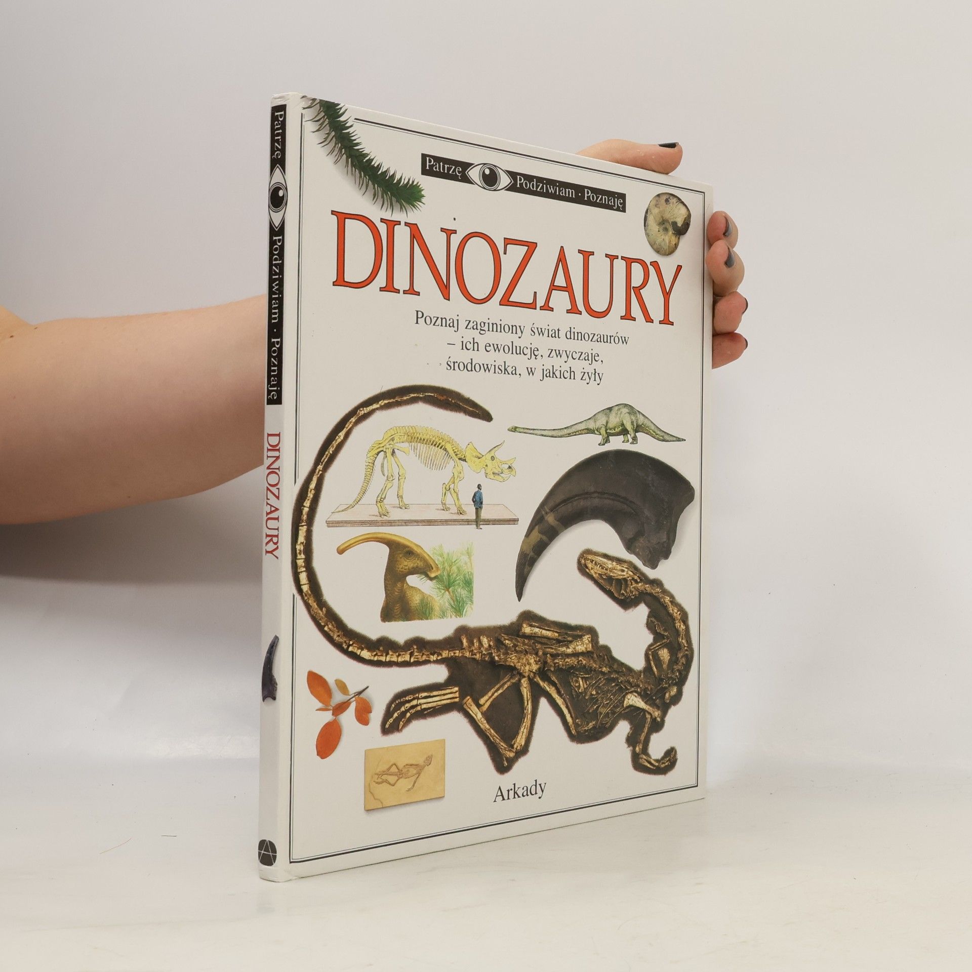 Kolektiv autorů Dinozaury