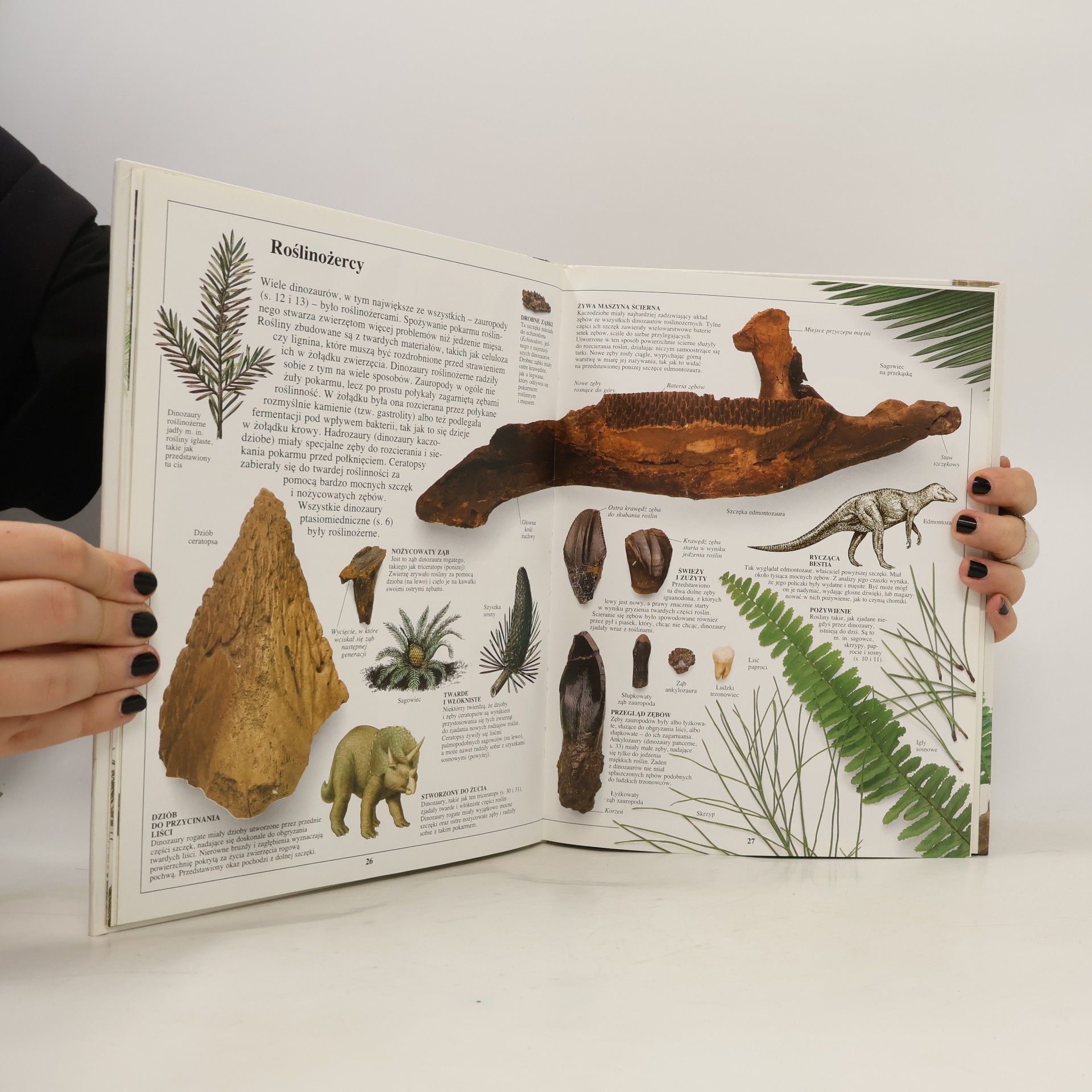 Kolektiv autorů Dinozaury